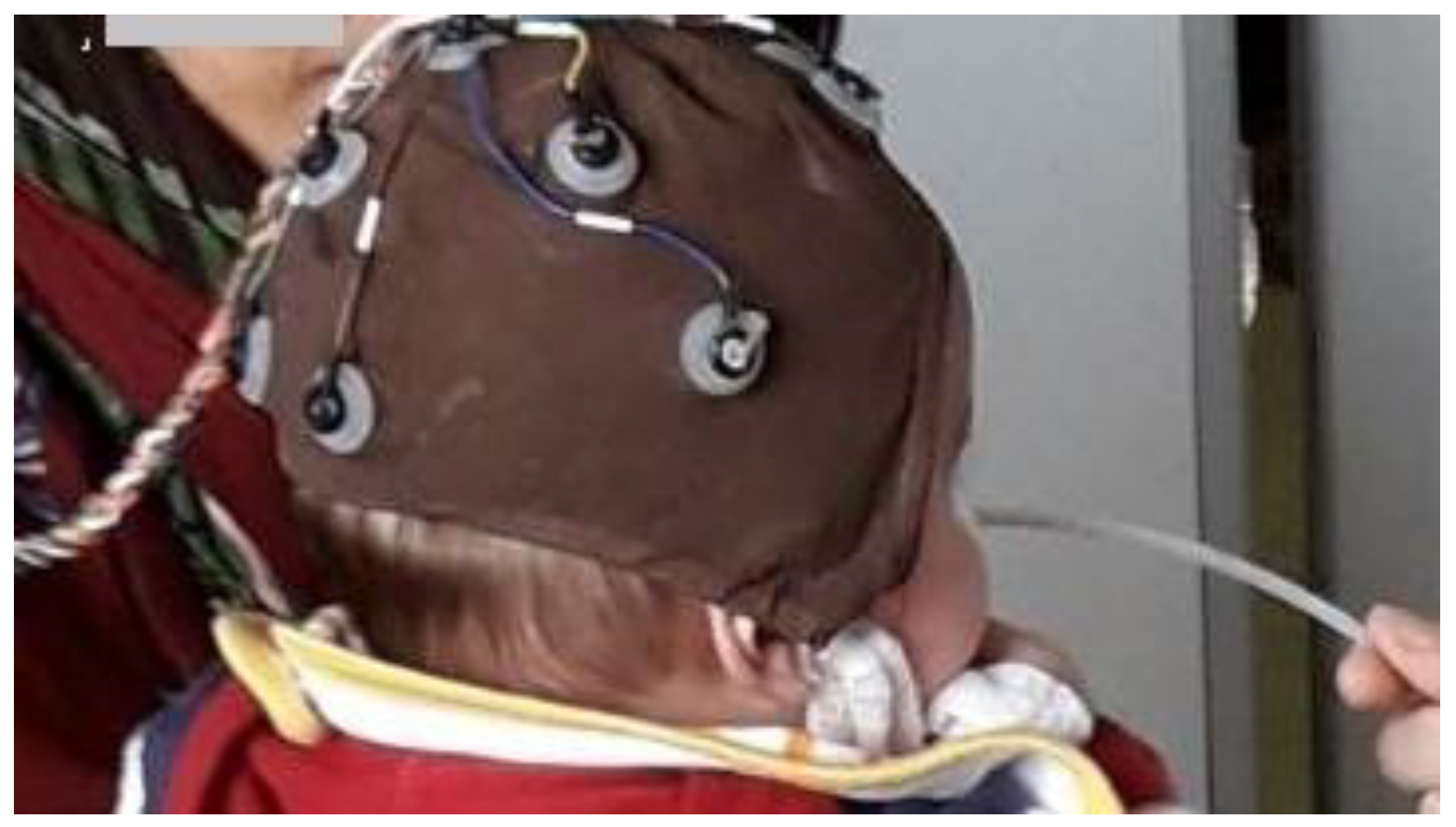 Chemosensors 07 00045 g003