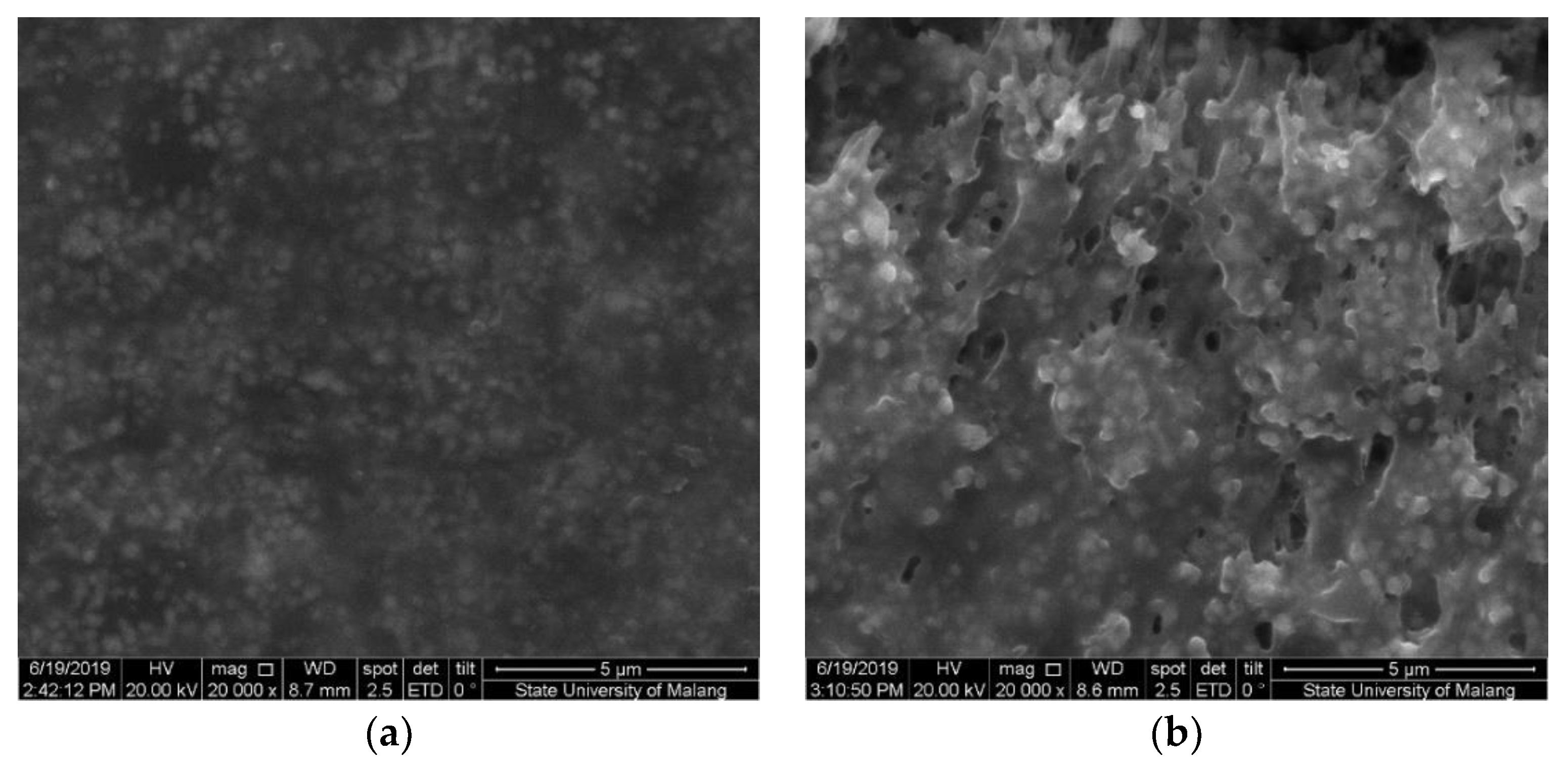Chemosensors 07 00049 g006