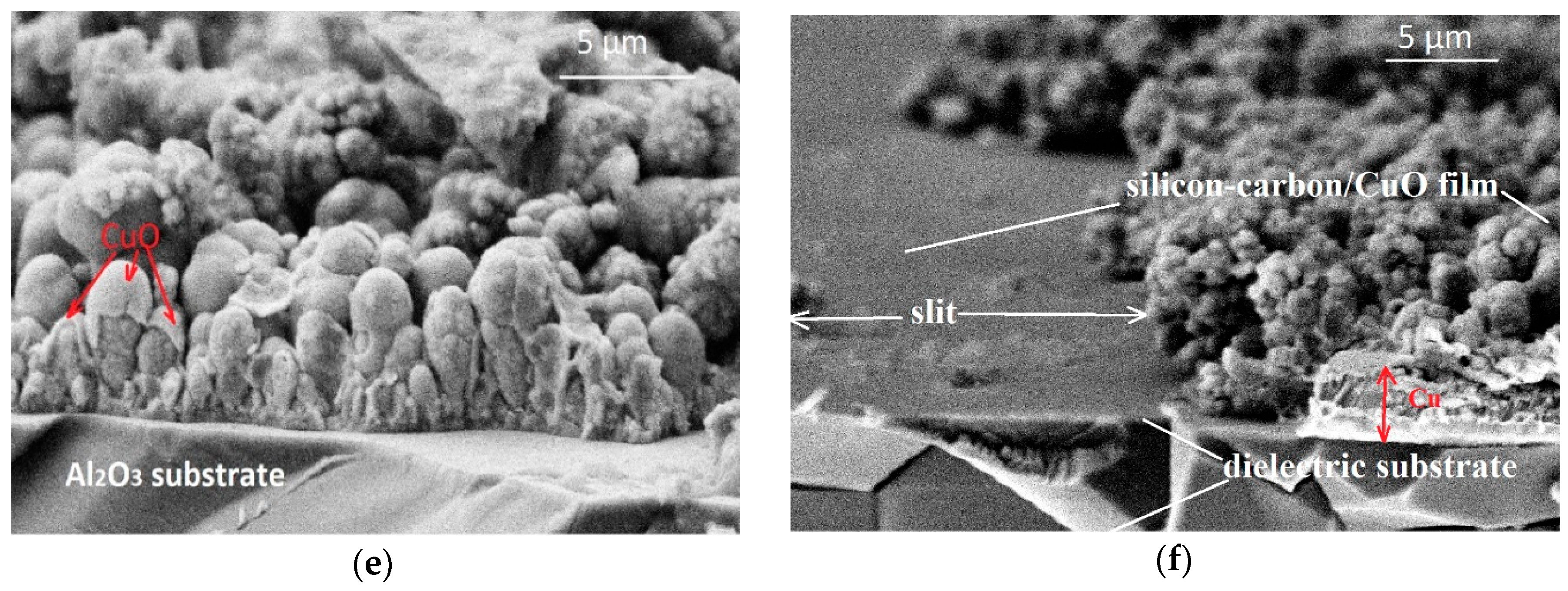 Chemosensors 07 00052 g005b