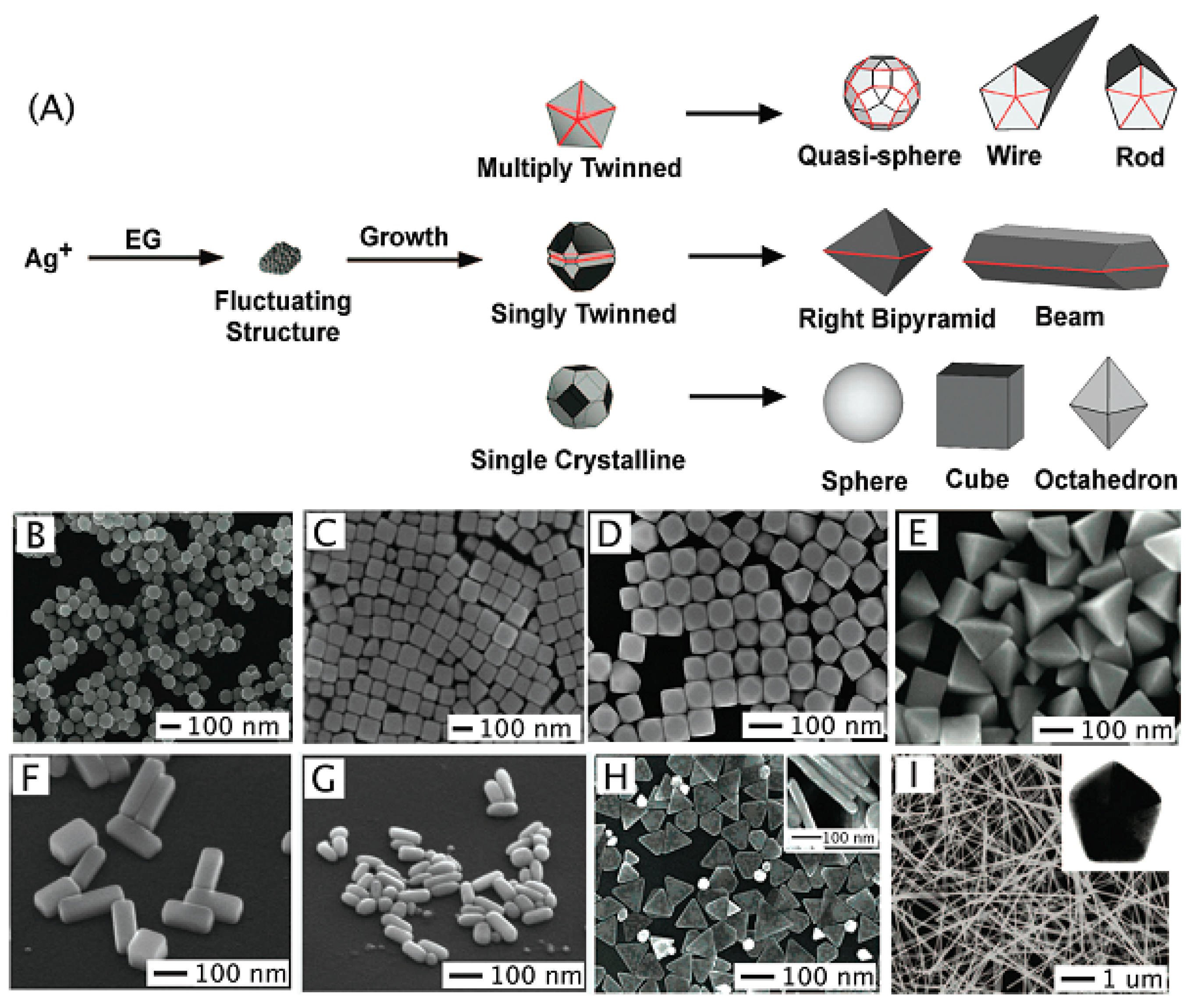 Chemosensors 07 00053 g001