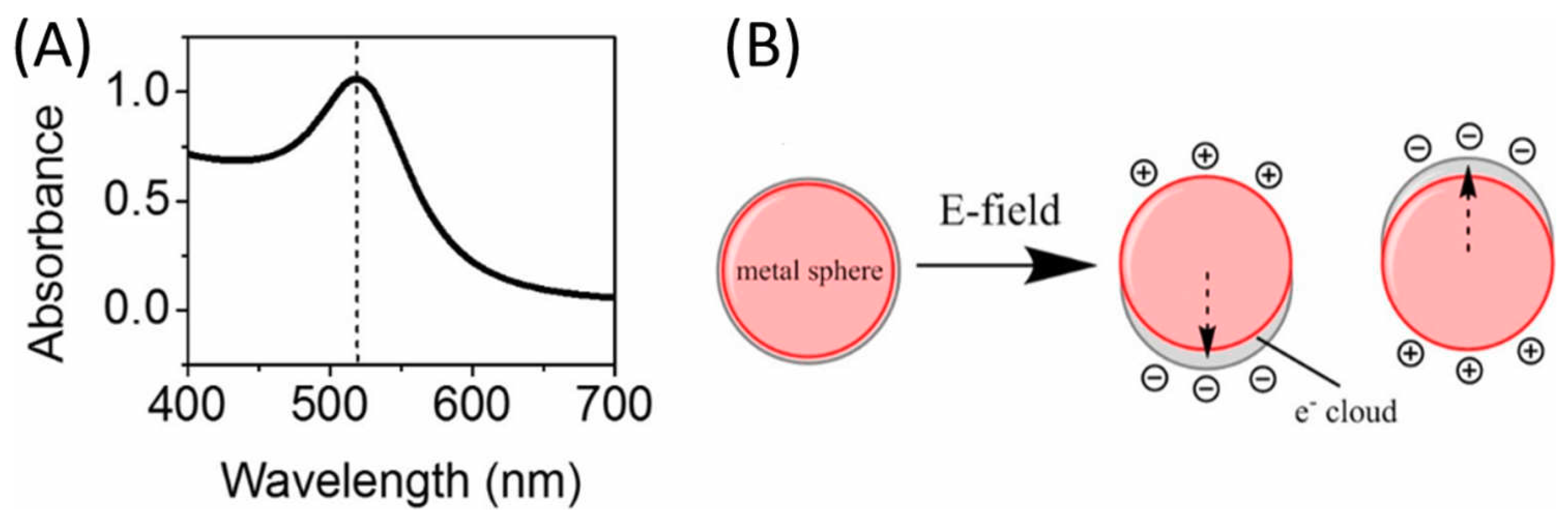 Chemosensors 07 00053 g002