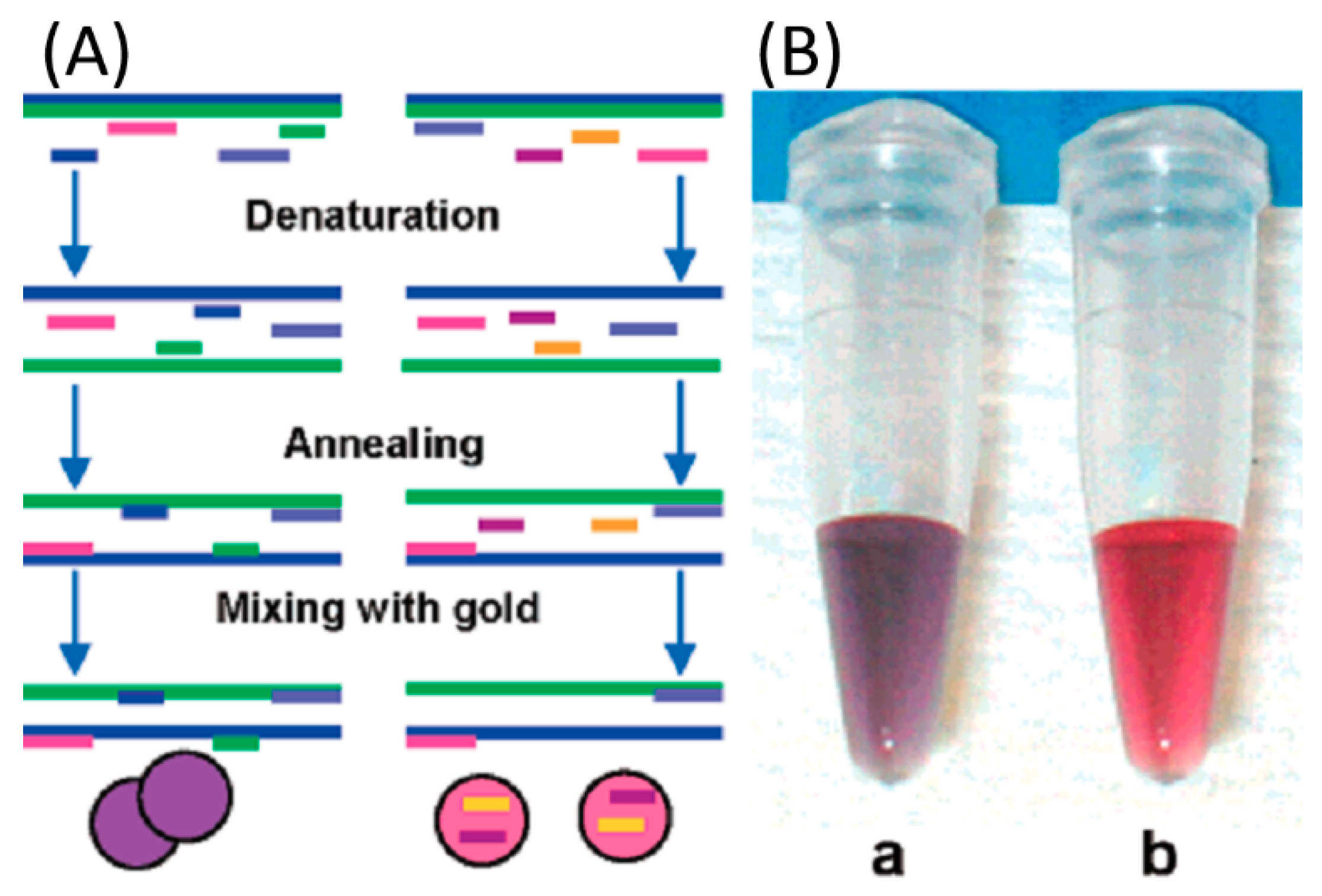 Chemosensors 07 00053 g006