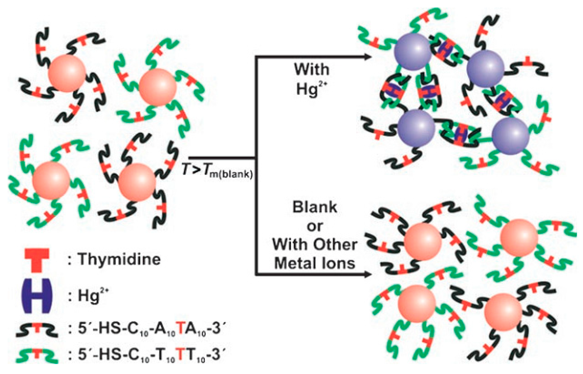 Chemosensors 07 00053 g007