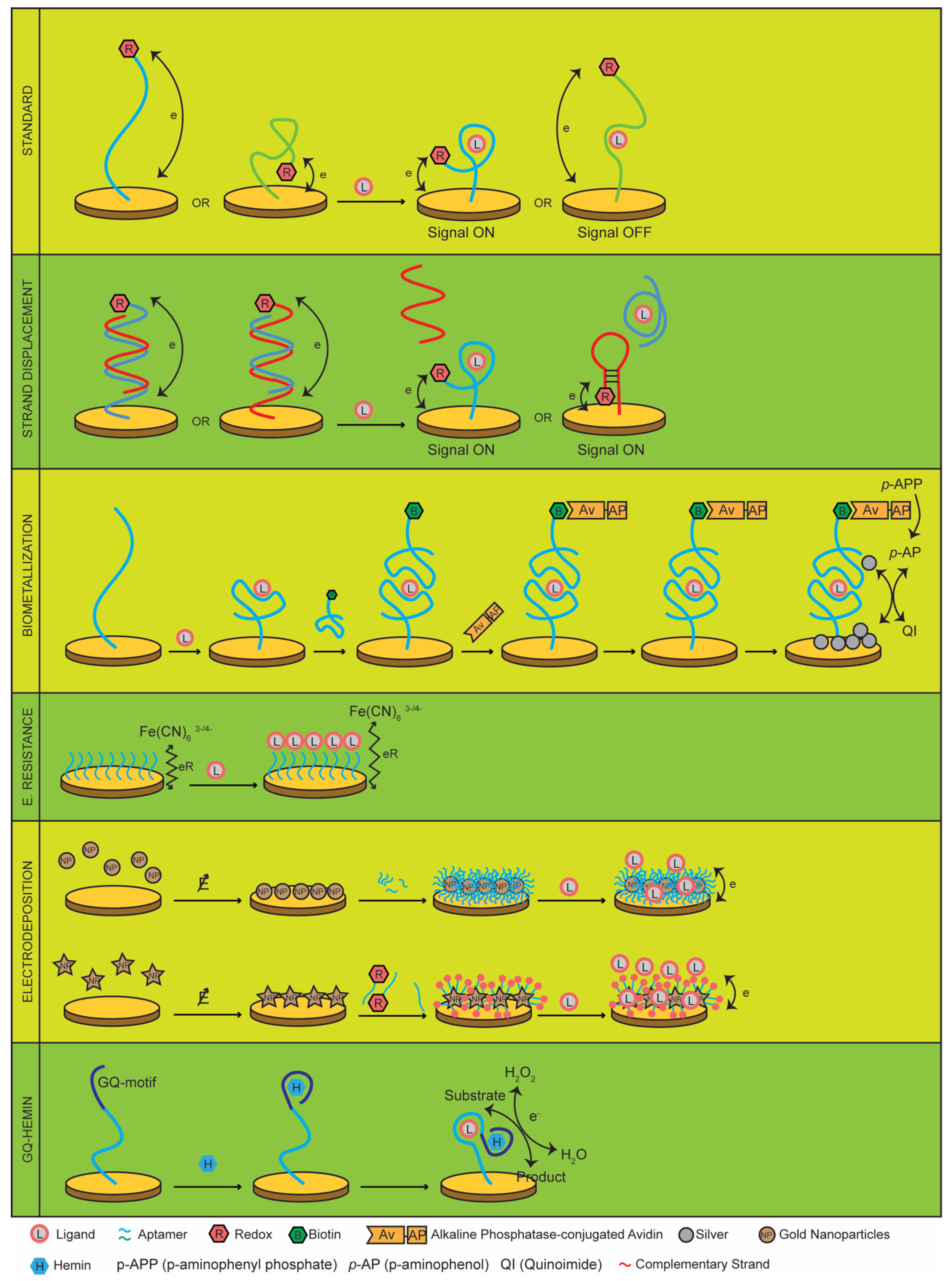 Chemosensors 07 00057 g001