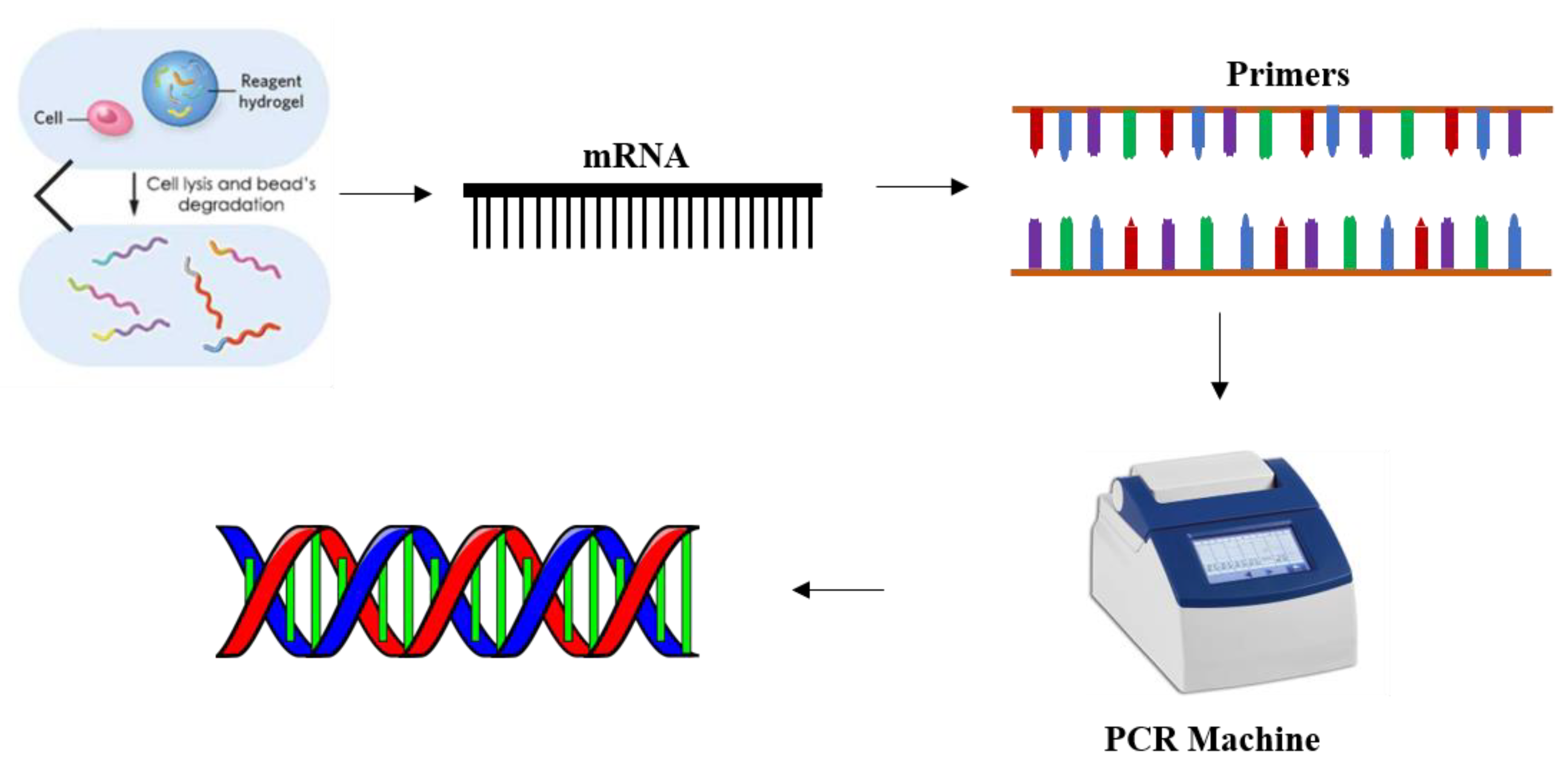 Chemosensors 07 00060 g001