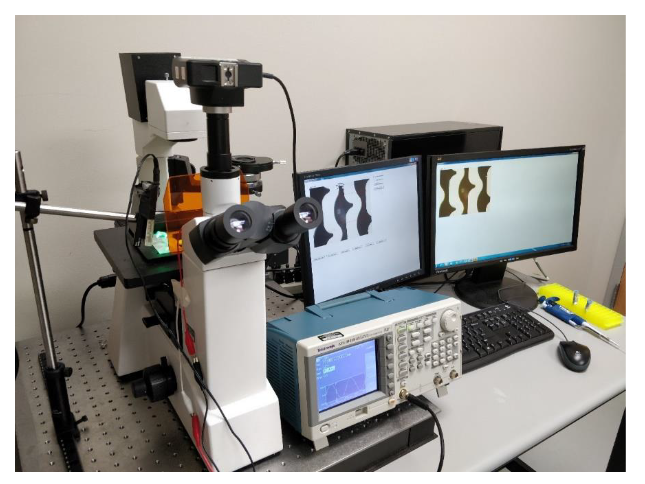 Chemosensors 07 00060 g004