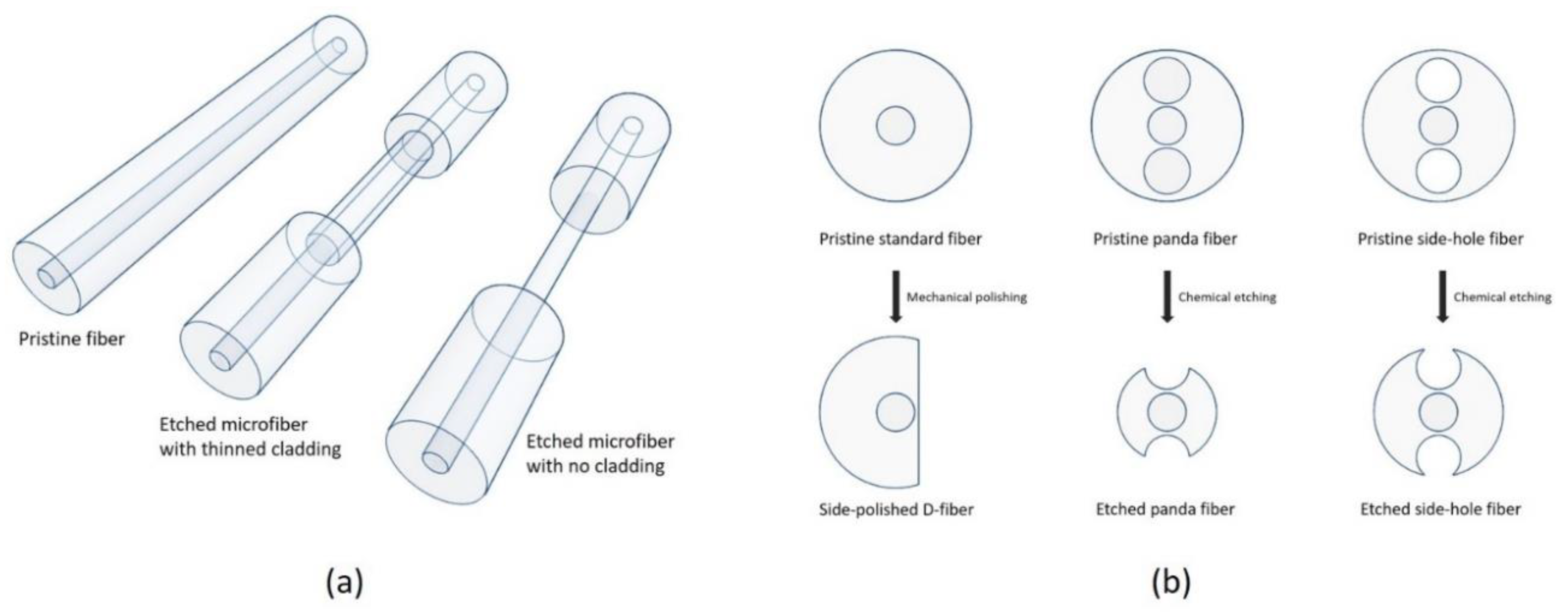 Chemosensors 07 00063 g005 Chemosensors 07 00063 g005