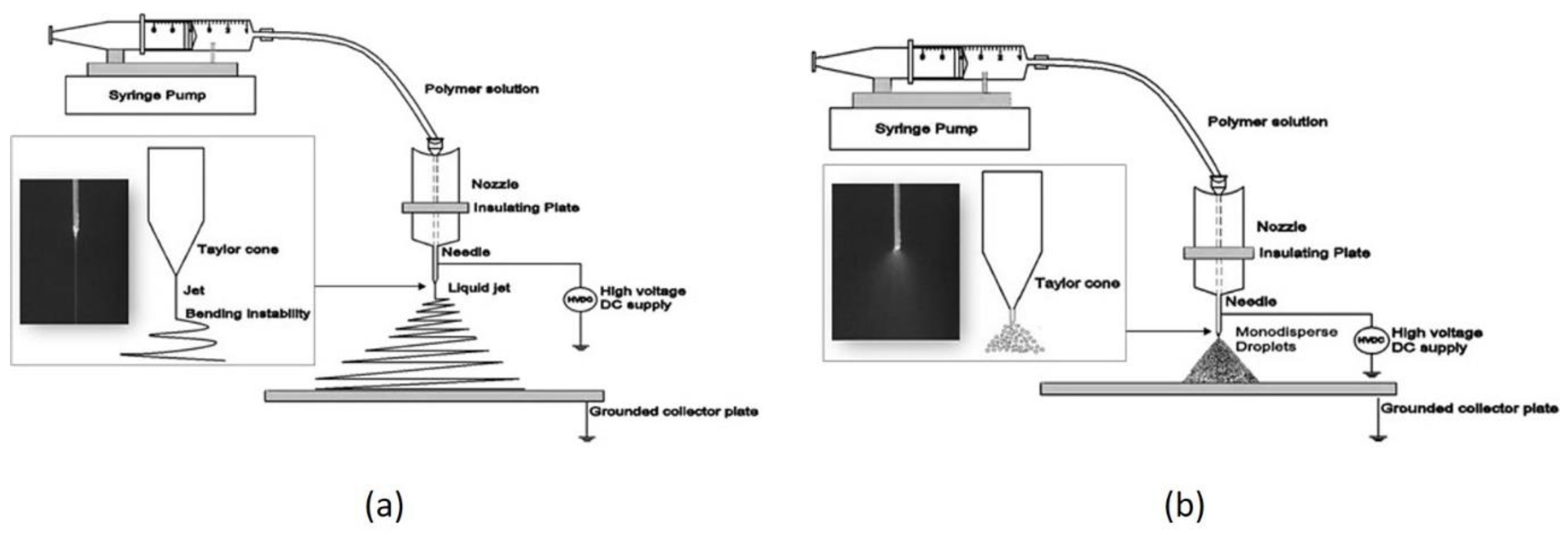 Chemosensors 07 00063 g010 Chemosensors 07 00063 g010