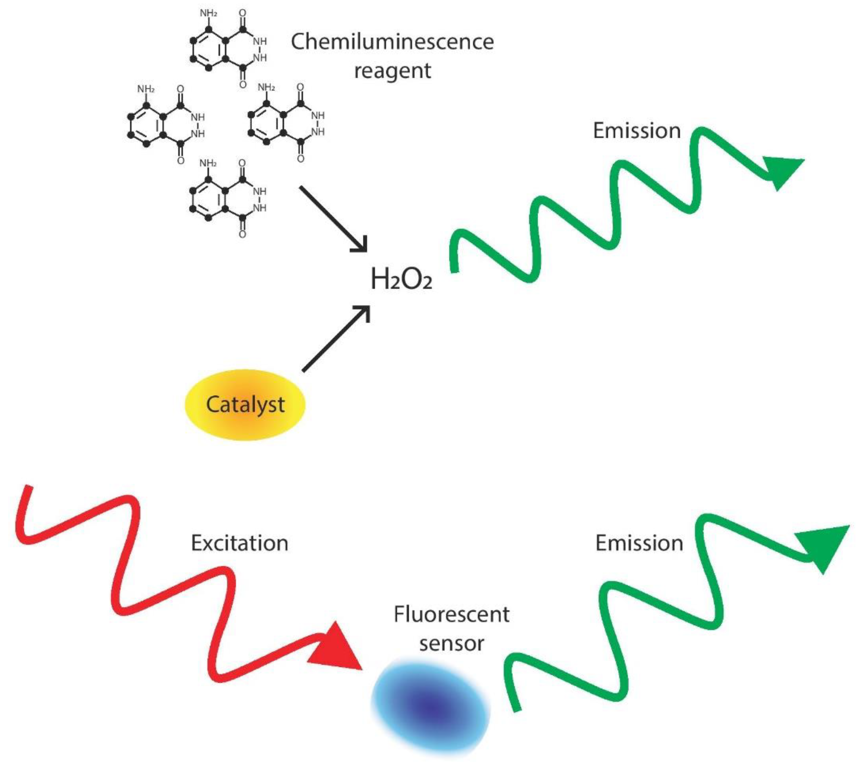 Chemosensors 07 00064 g001