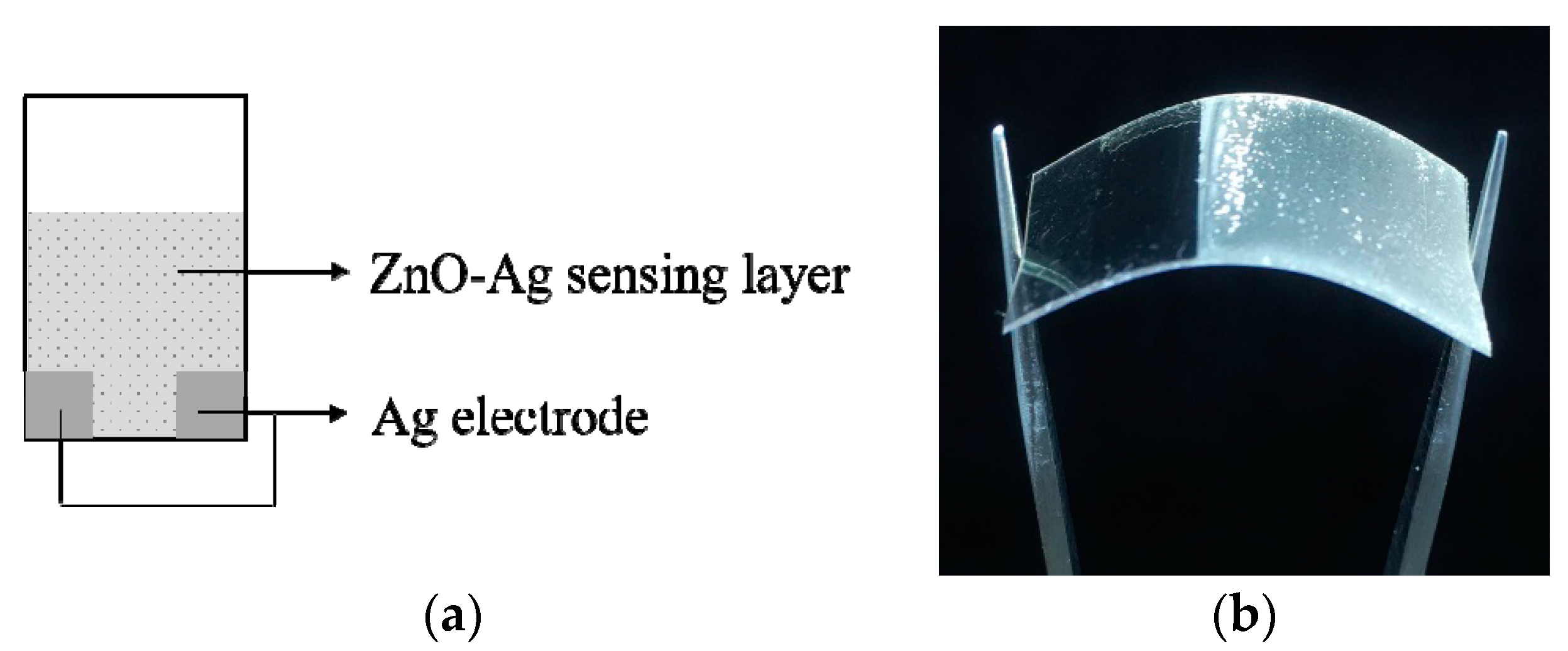 Chemosensors 08 00002 g001