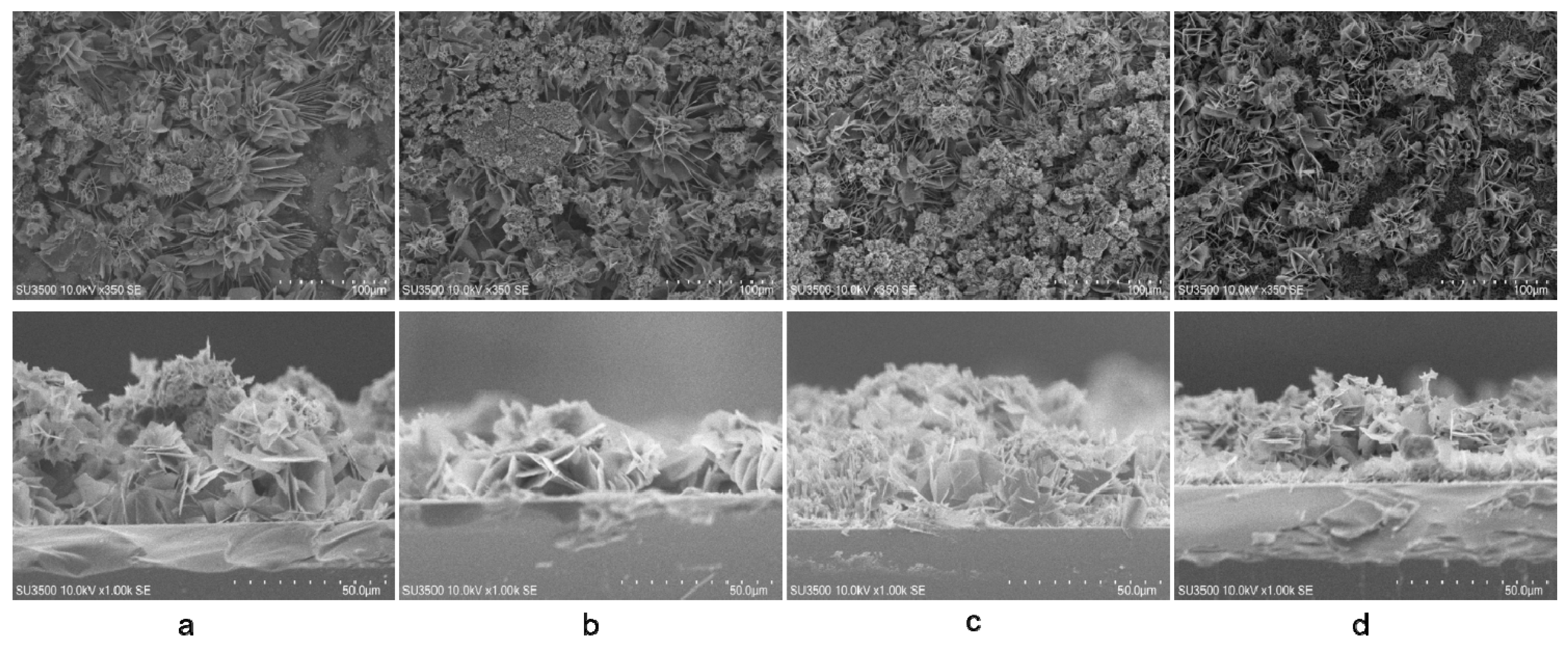 Chemosensors 08 00002 g005