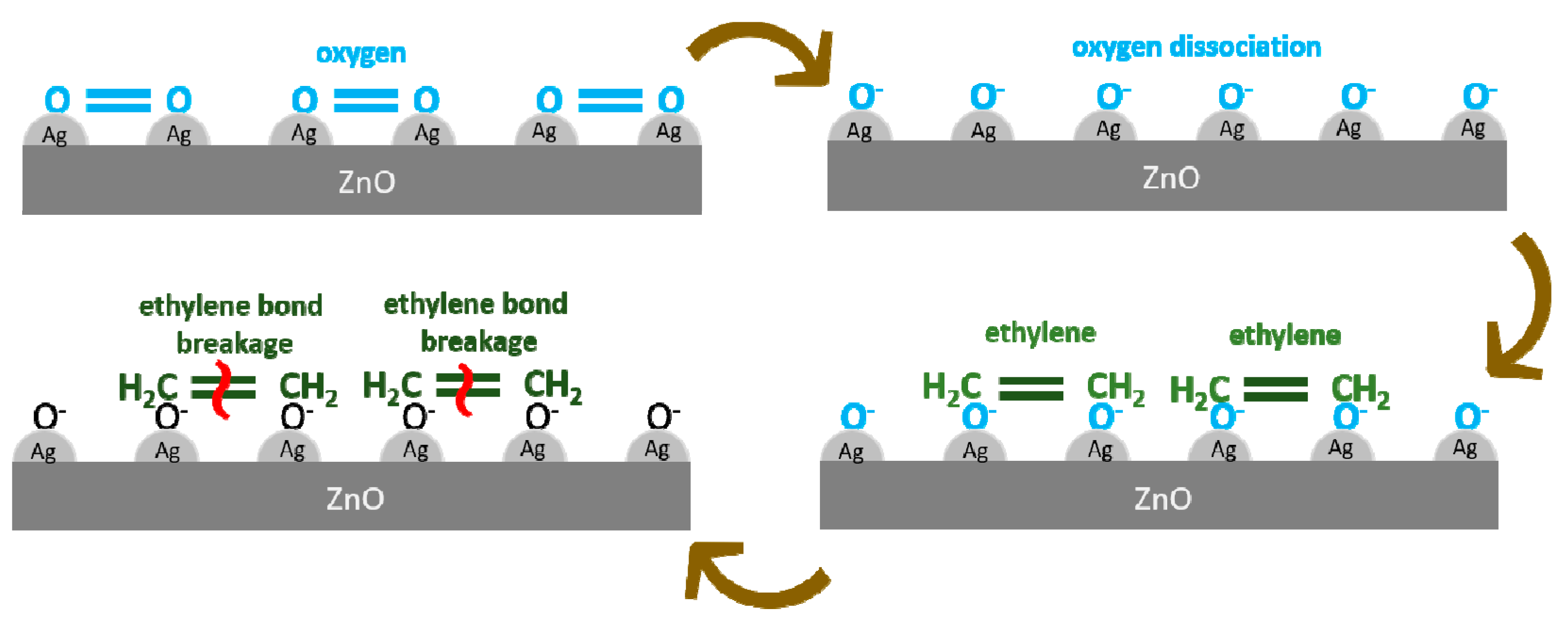 Chemosensors 08 00002 g009