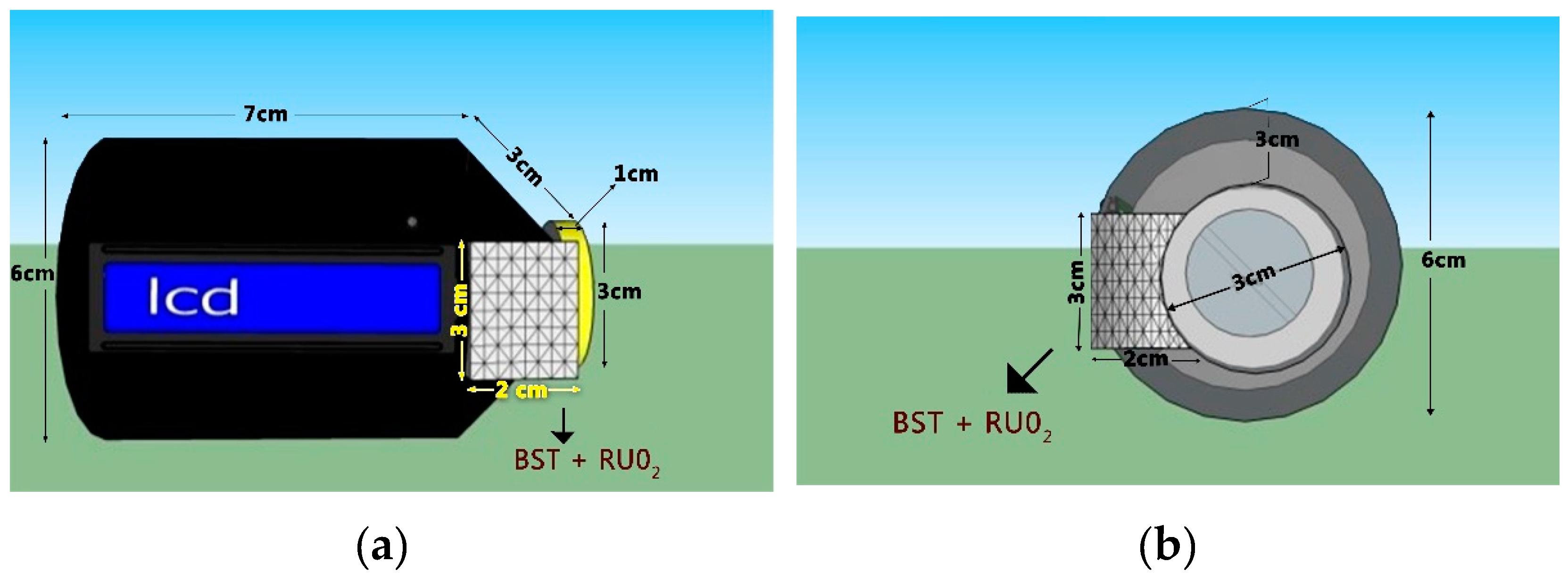 Chemosensors 08 00003 g006