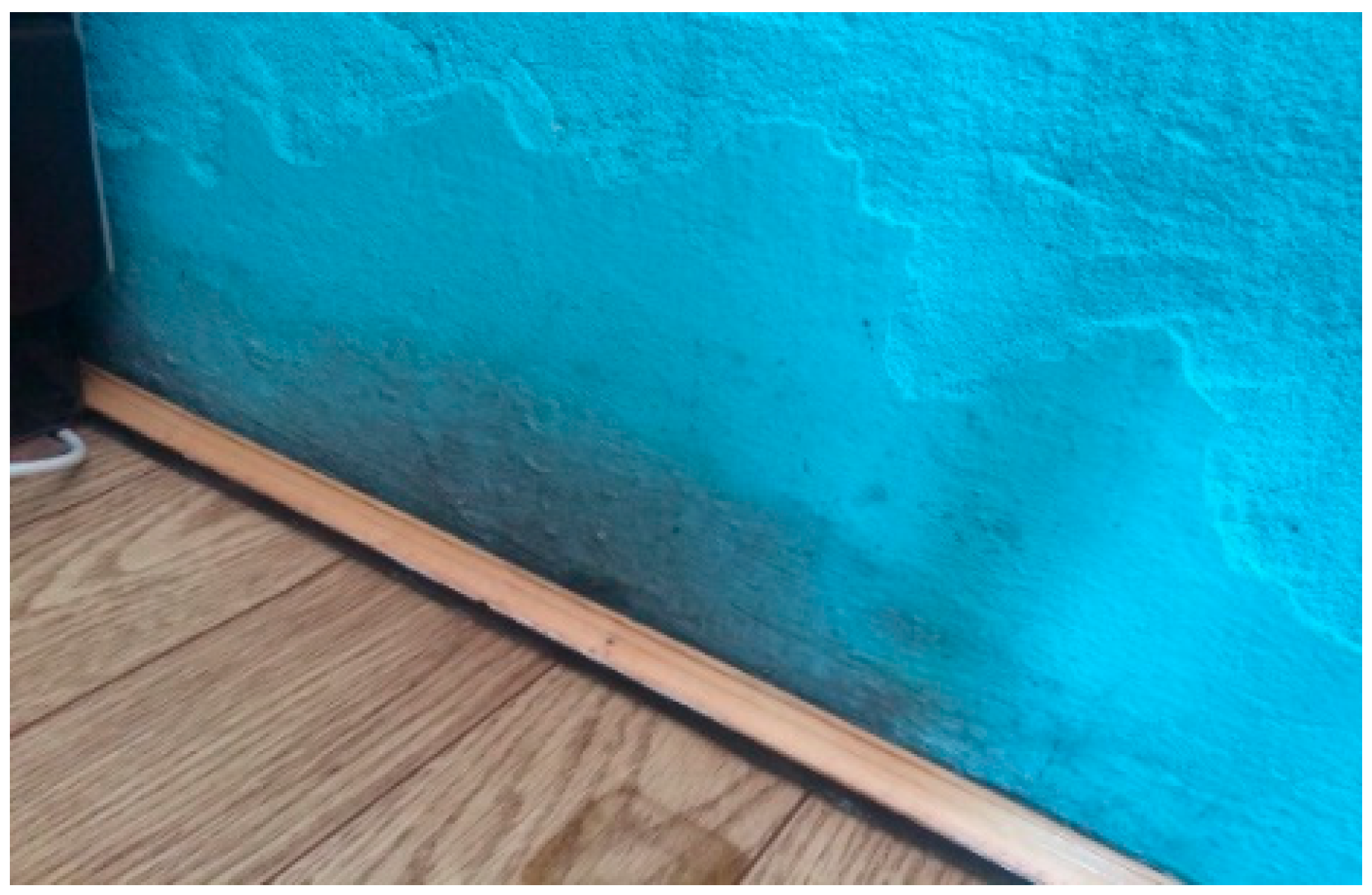 Chemosensors 08 00007 g001