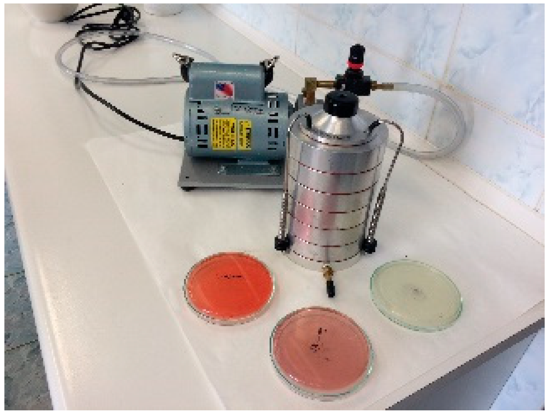Chemosensors 08 00007 g003
