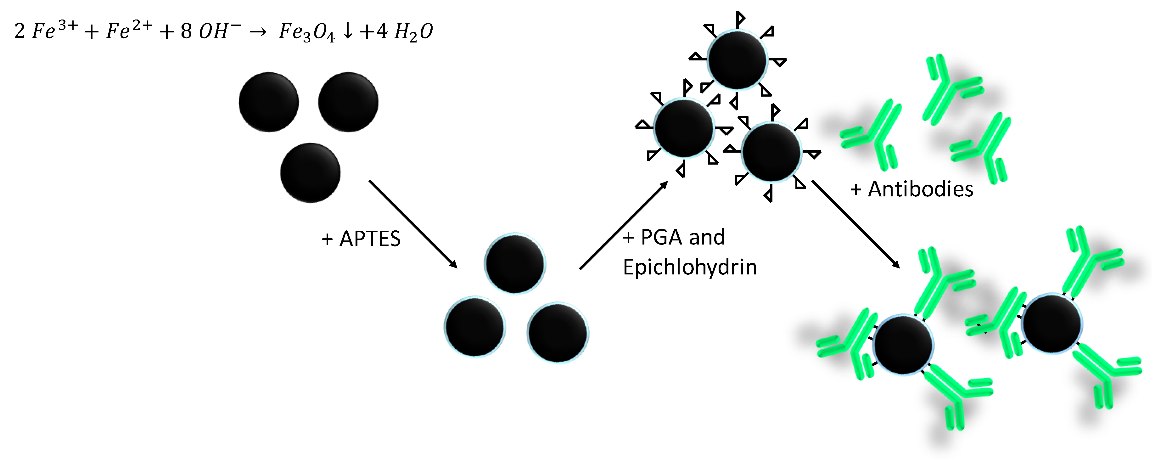 Chemosensors 08 00017 sch001