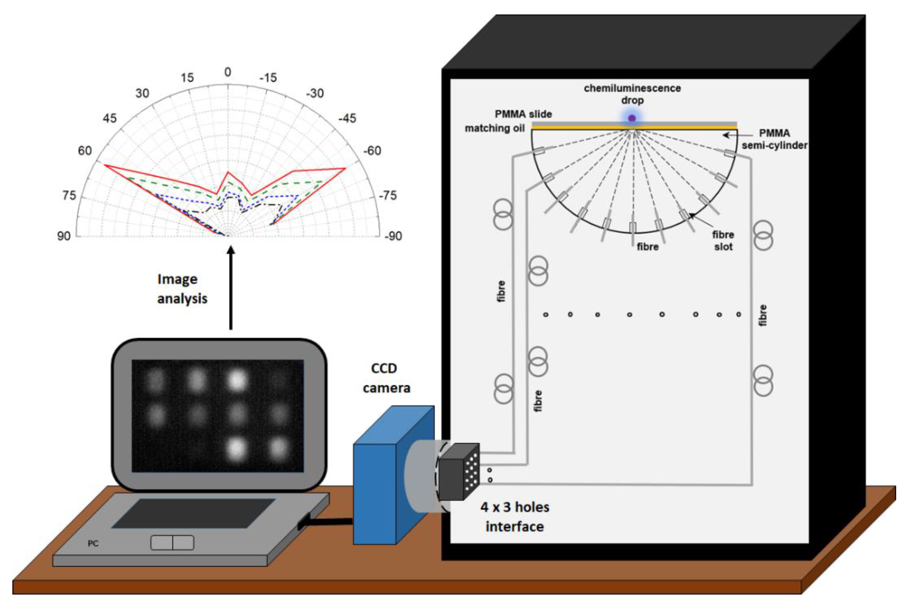 Chemosensors 08 00018 g001