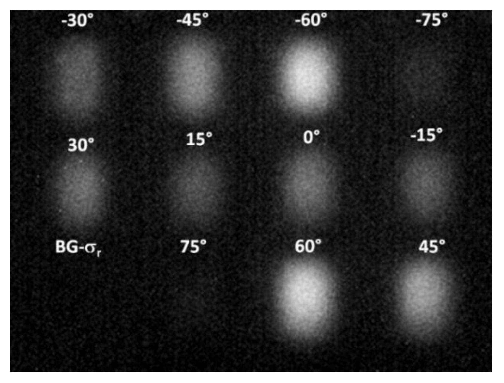 Chemosensors 08 00018 g004