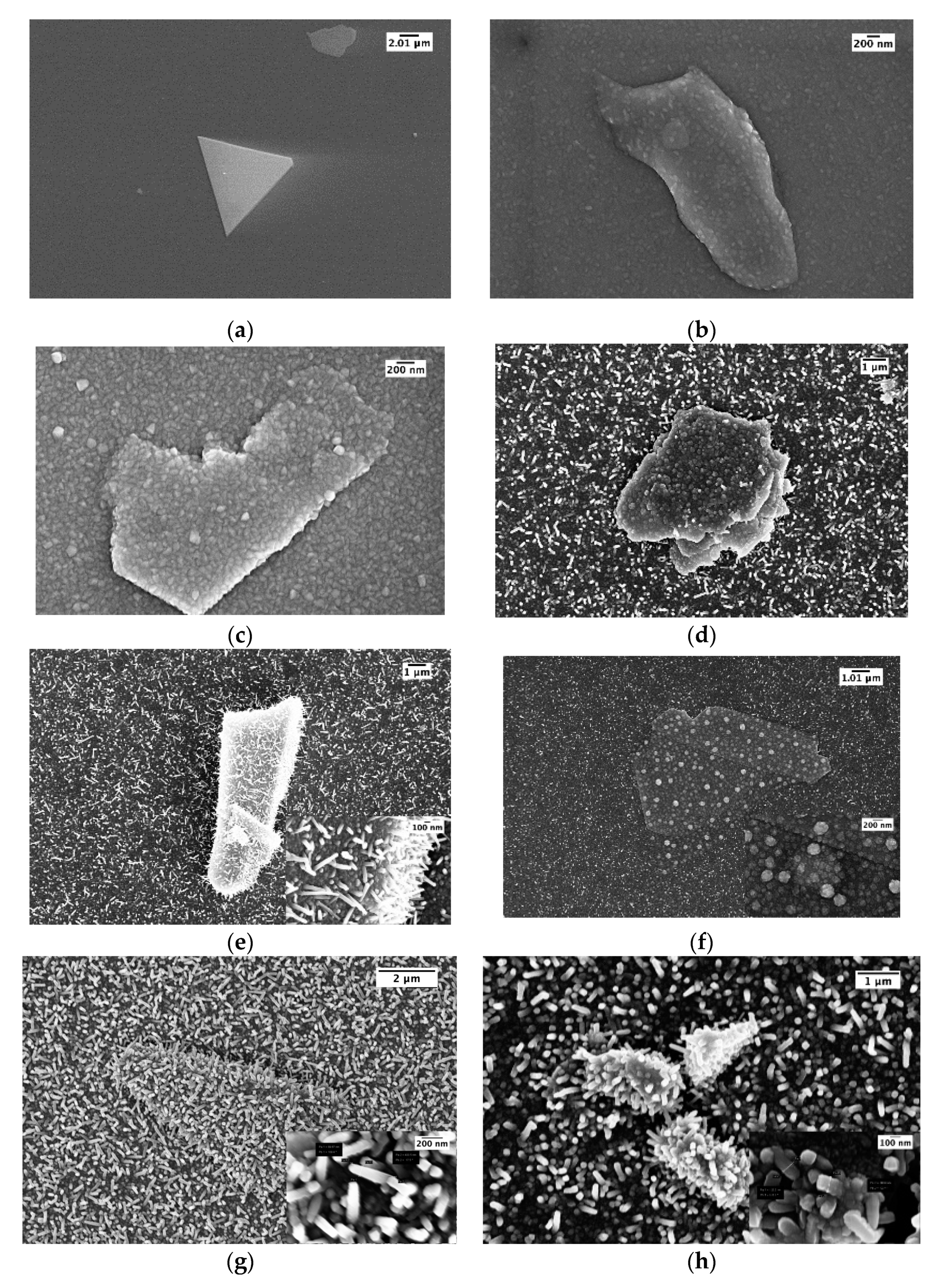Chemosensors 08 00019 g003