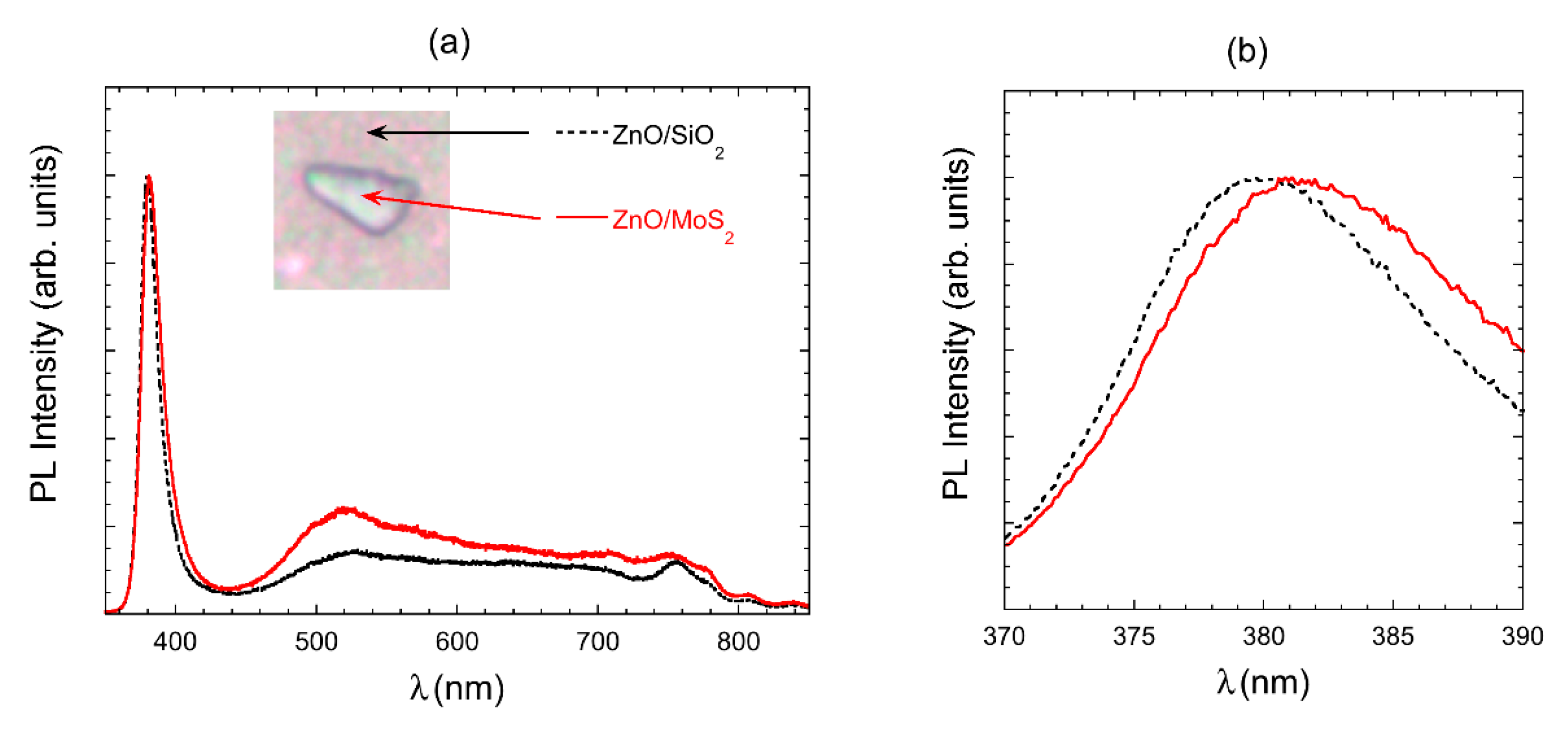 Chemosensors 08 00019 g005