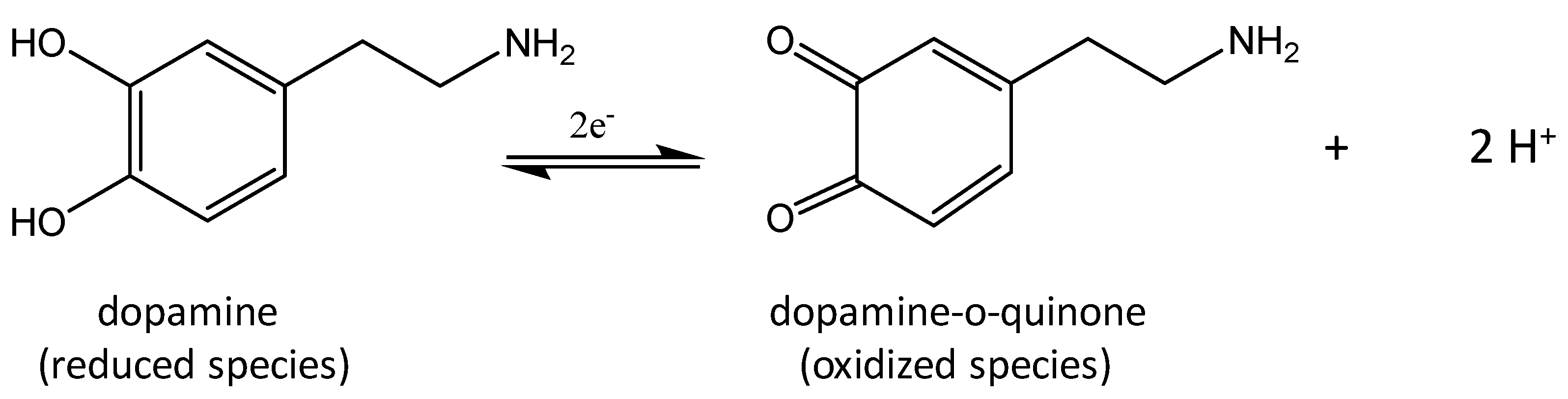 Chemosensors 08 00022 sch001