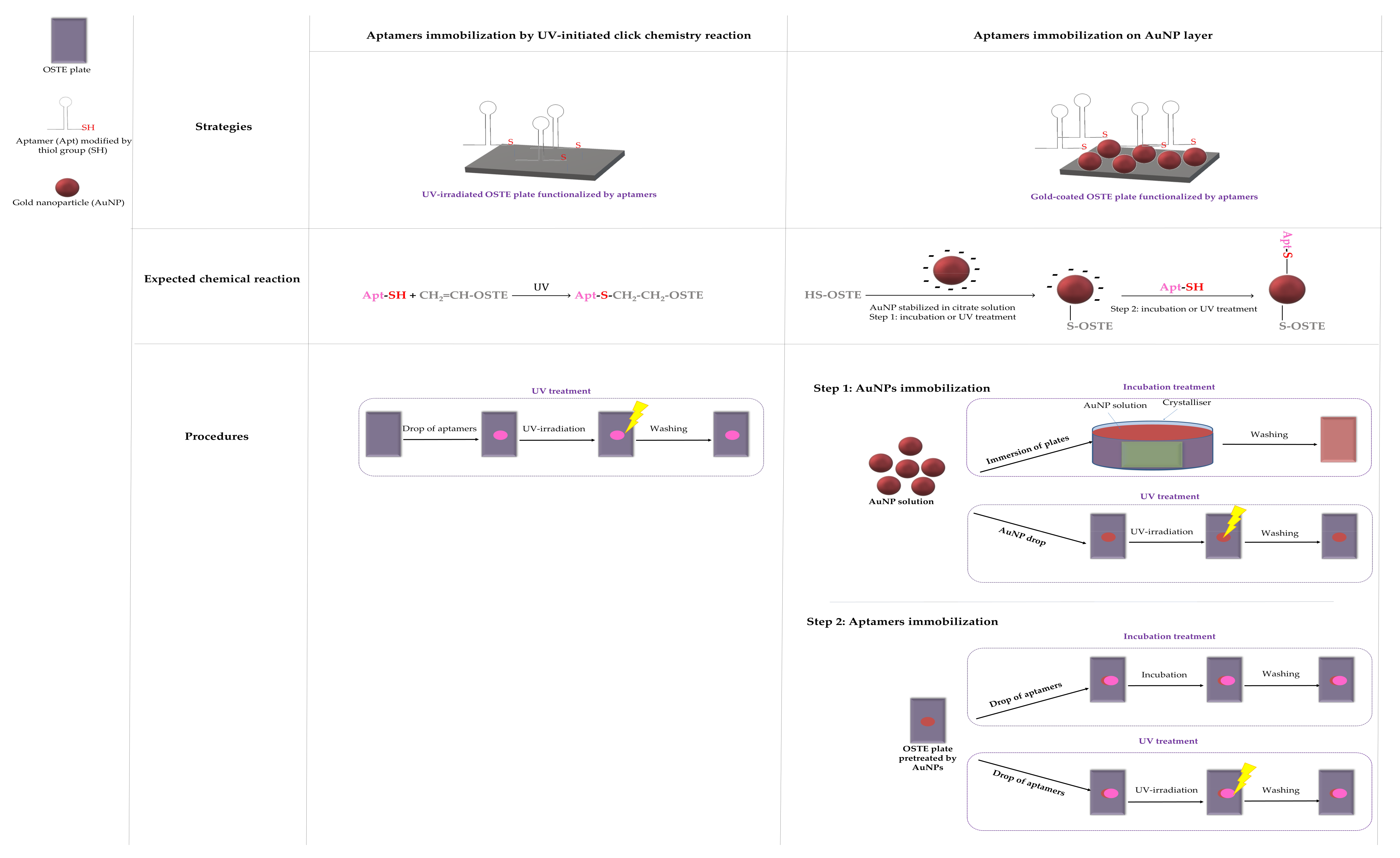 Chemosensors 08 00024 g001