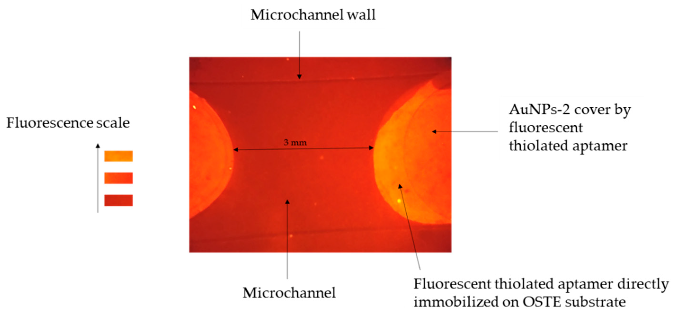 Chemosensors 08 00024 g007