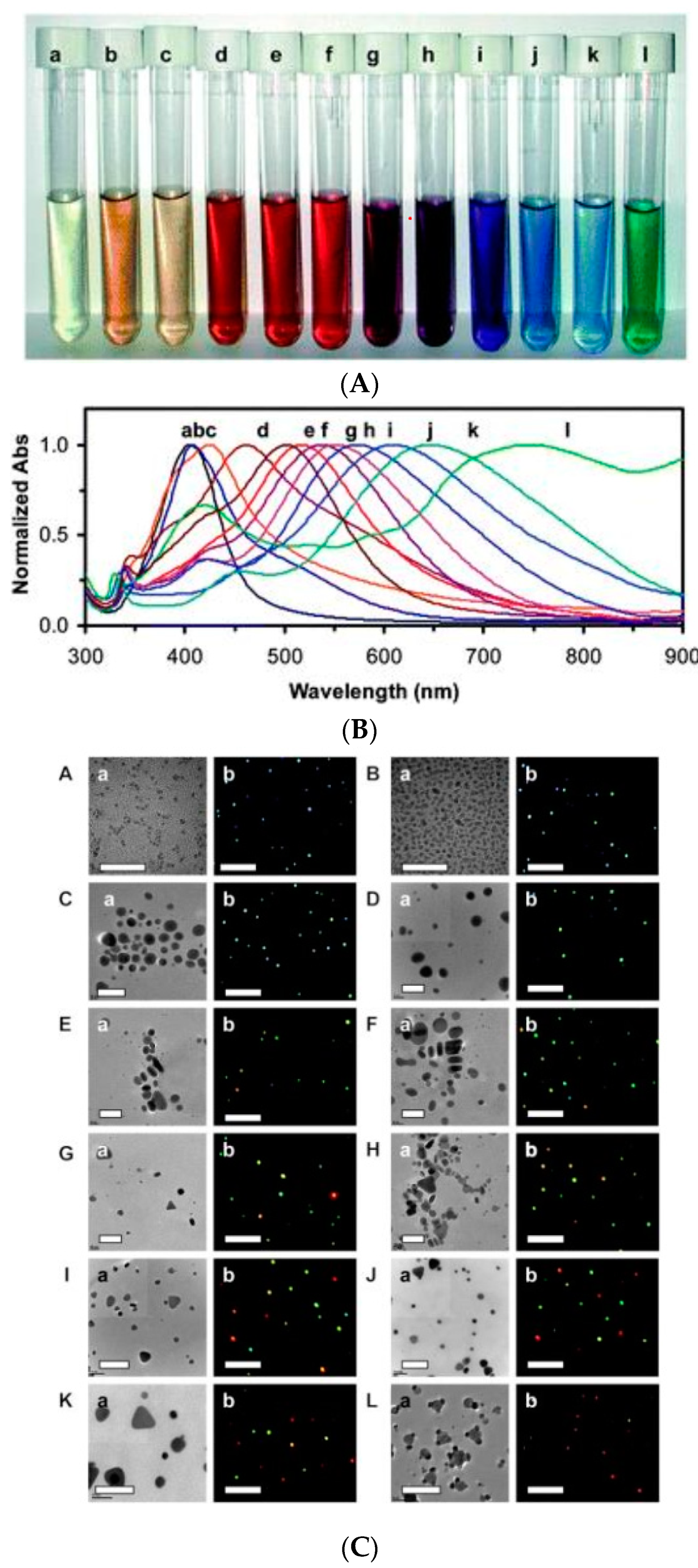 Chemosensors 08 00026 g005