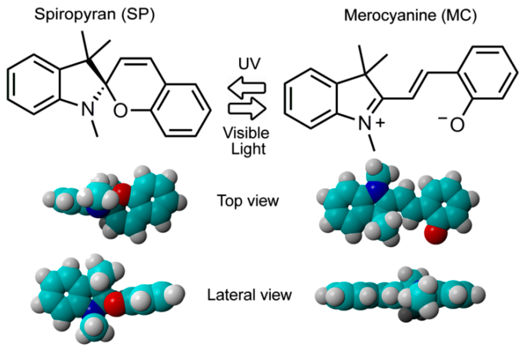 Chemosensors 08 00031 sch001