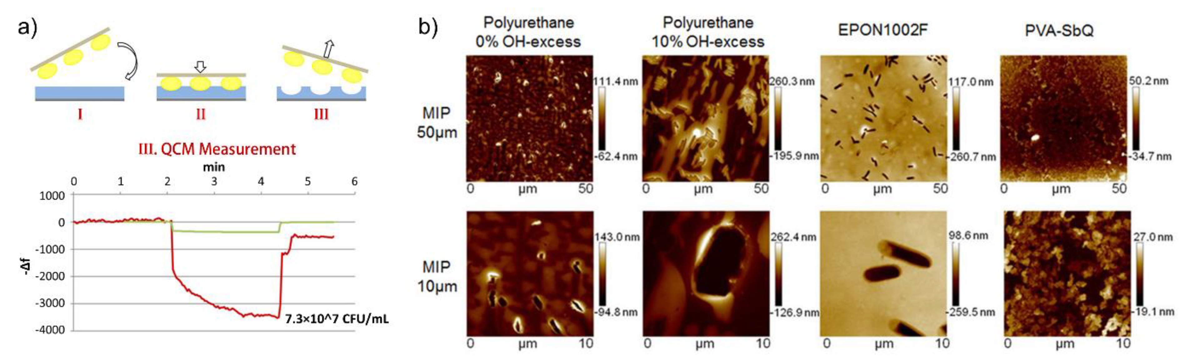 Chemosensors 08 00032 g001