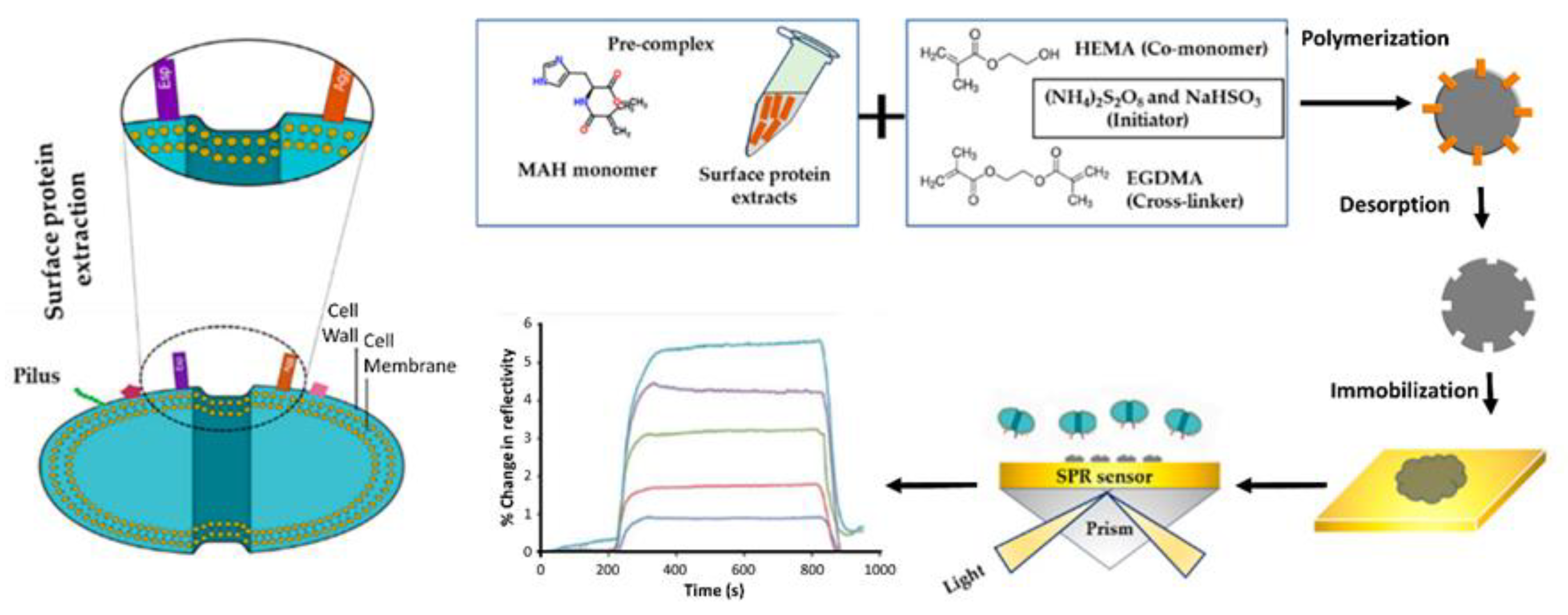 Chemosensors 08 00032 g002