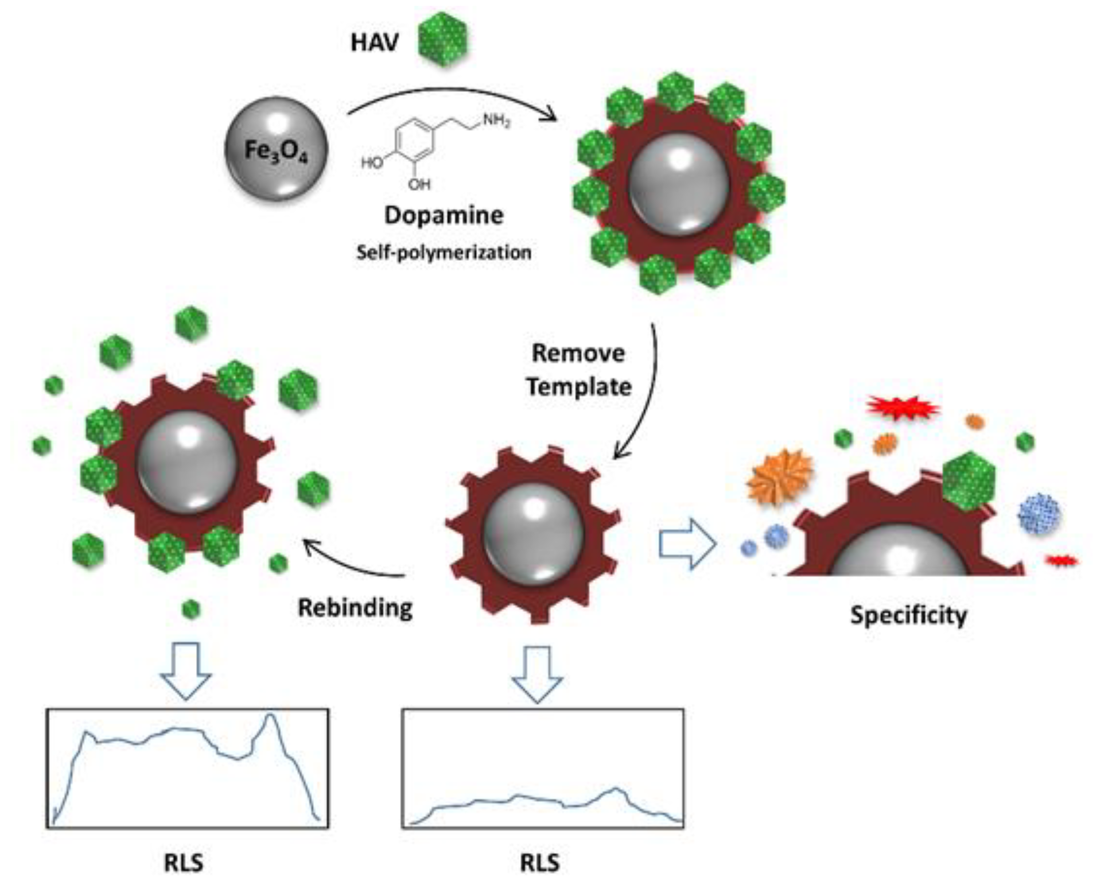 Chemosensors 08 00032 g003