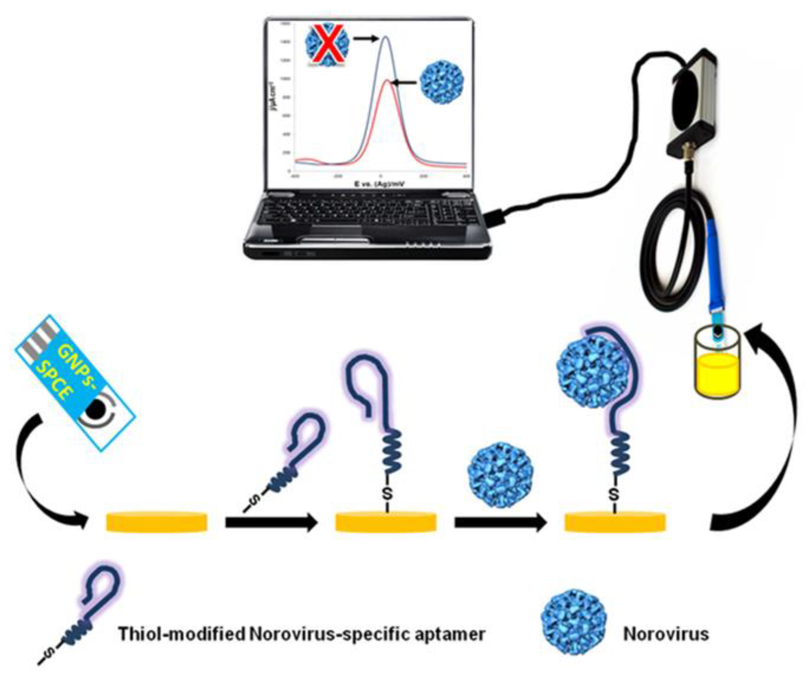 Chemosensors 08 00032 g004
