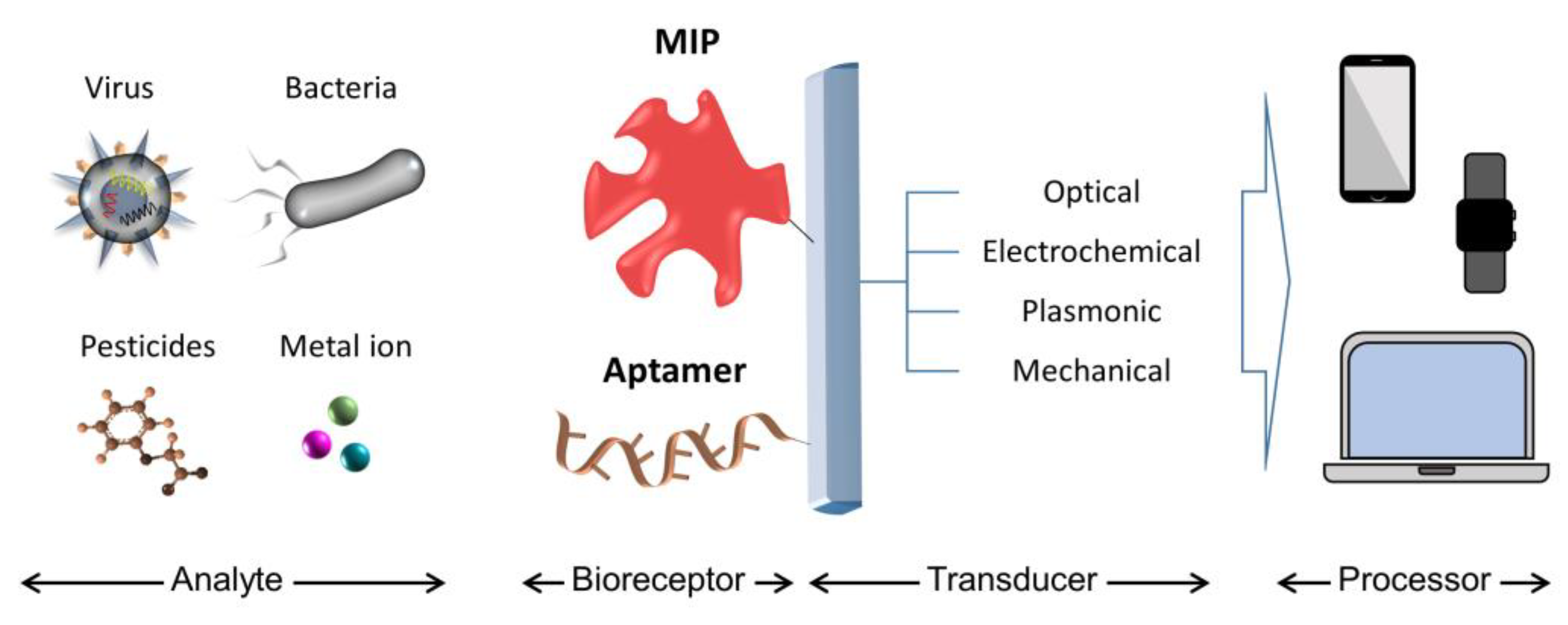 Chemosensors 08 00032 sch001