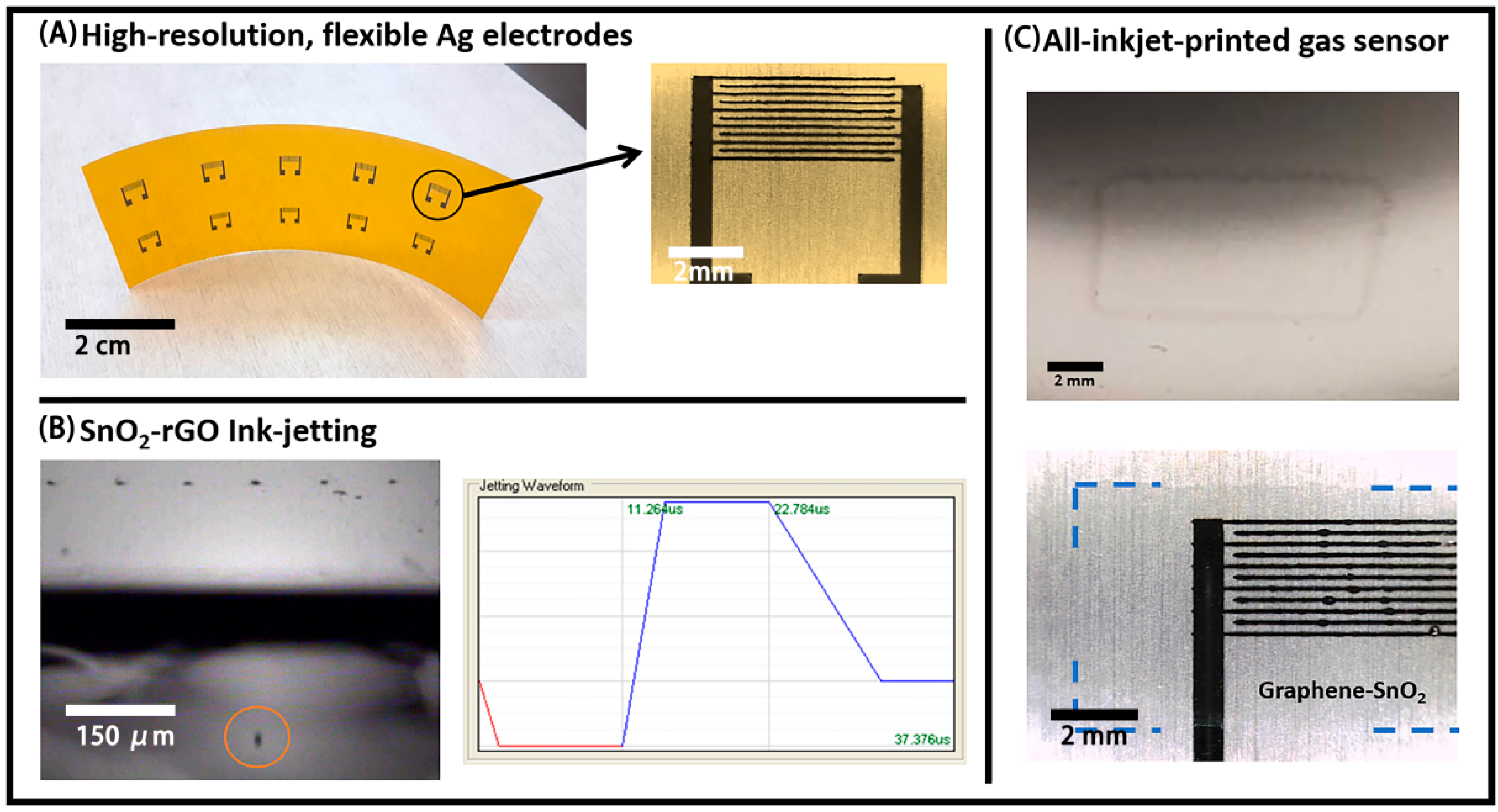 Chemosensors 08 00036 g005