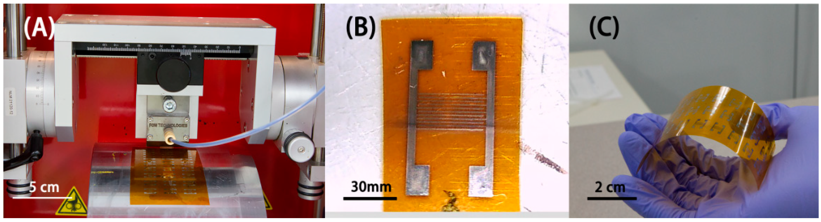 Chemosensors 08 00036 g006