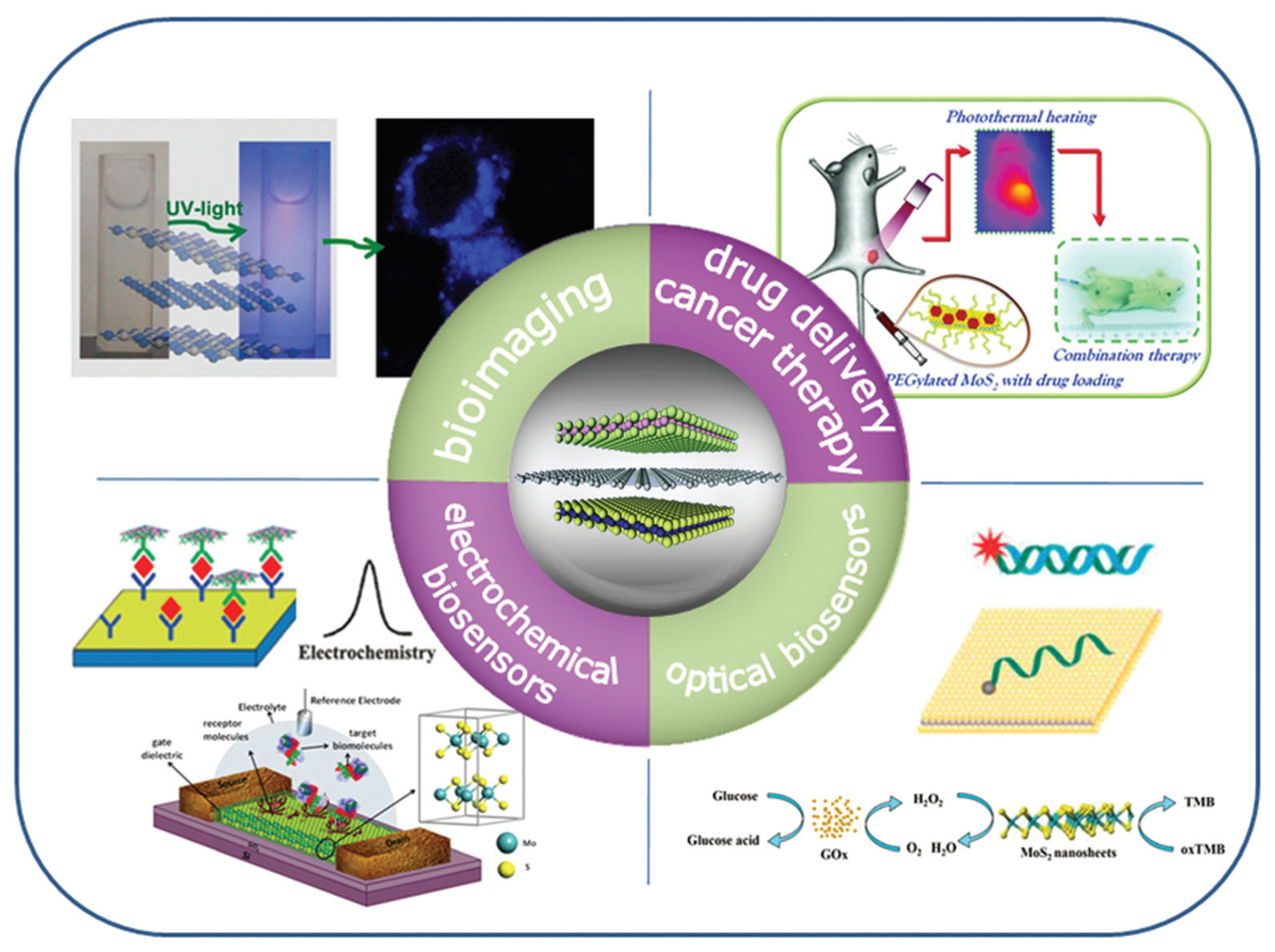 Chemosensors 08 00045 g002