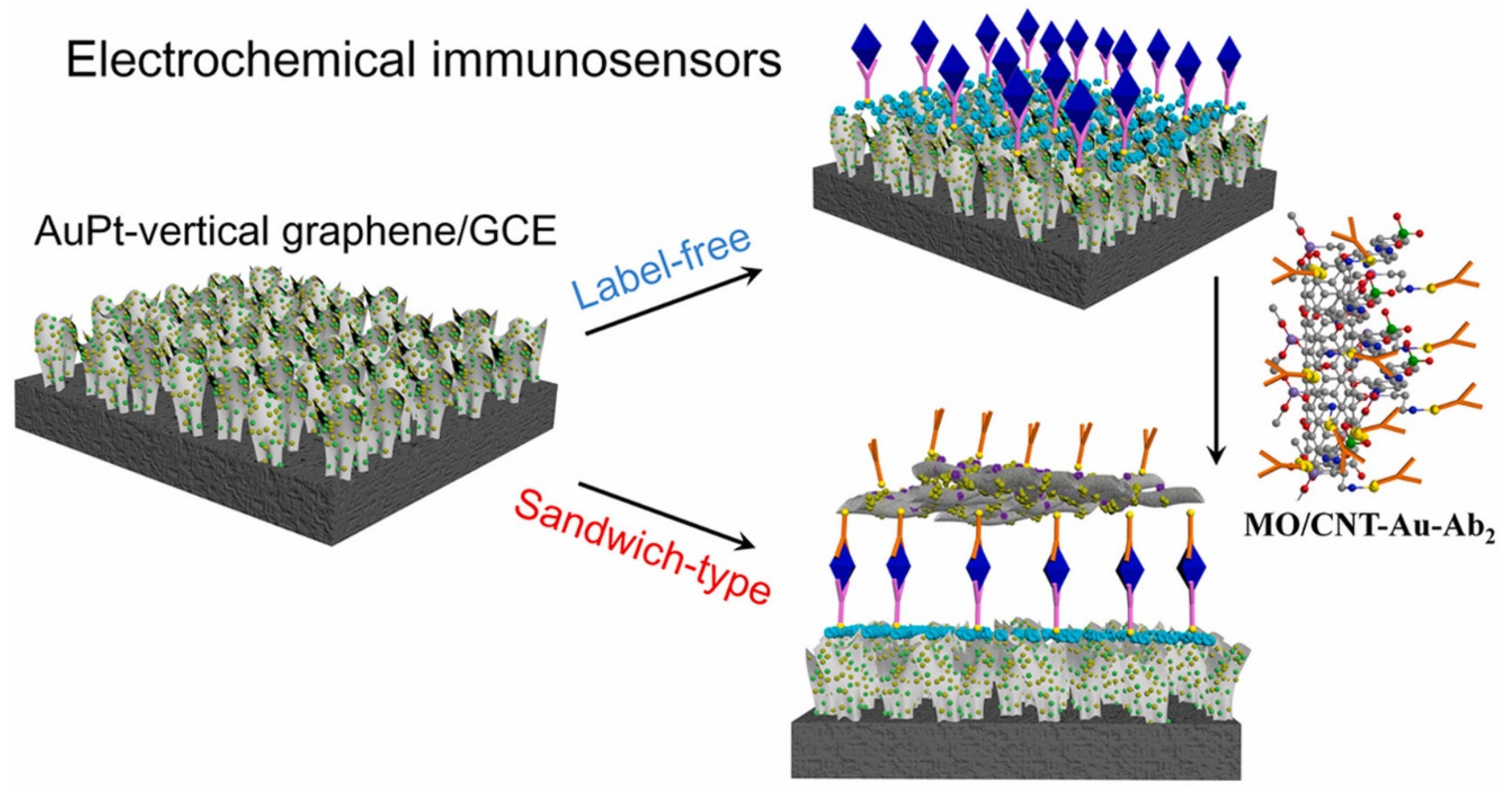 Chemosensors 08 00045 g008