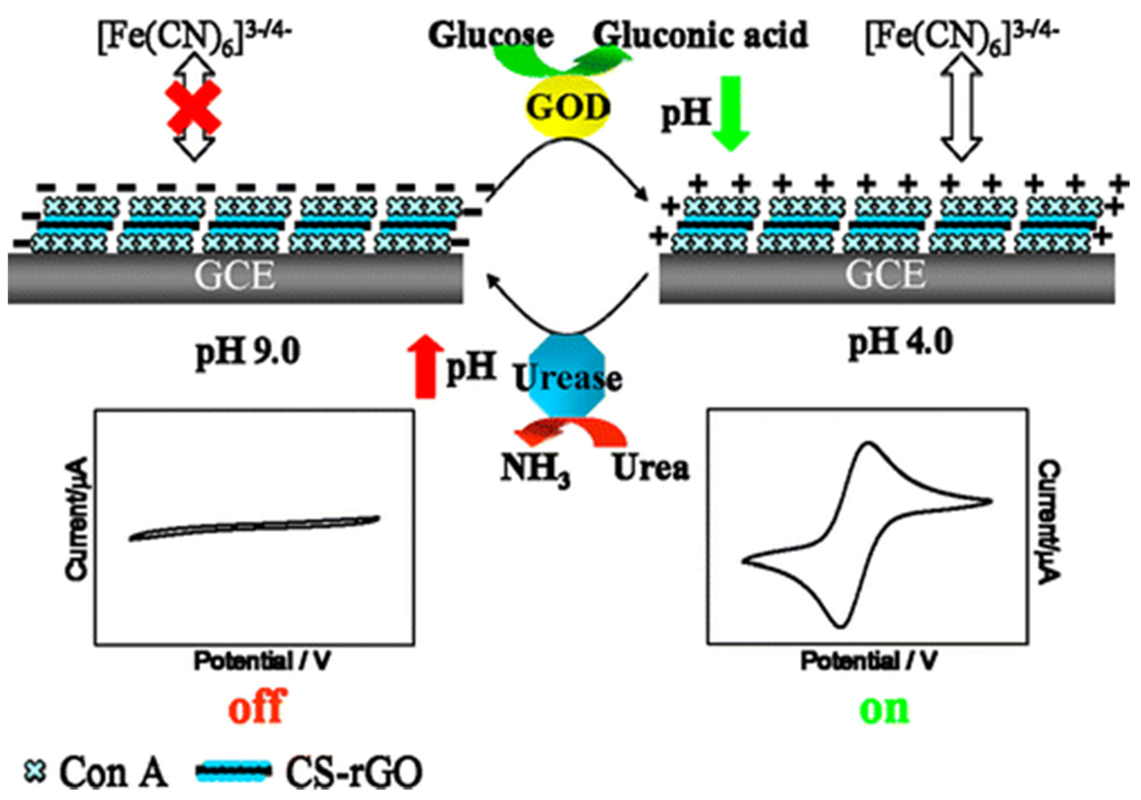 Chemosensors 08 00045 g009