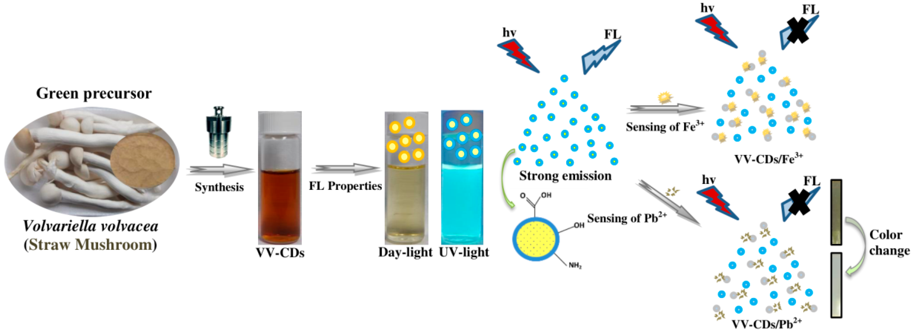 Chemosensors 08 00047 g001