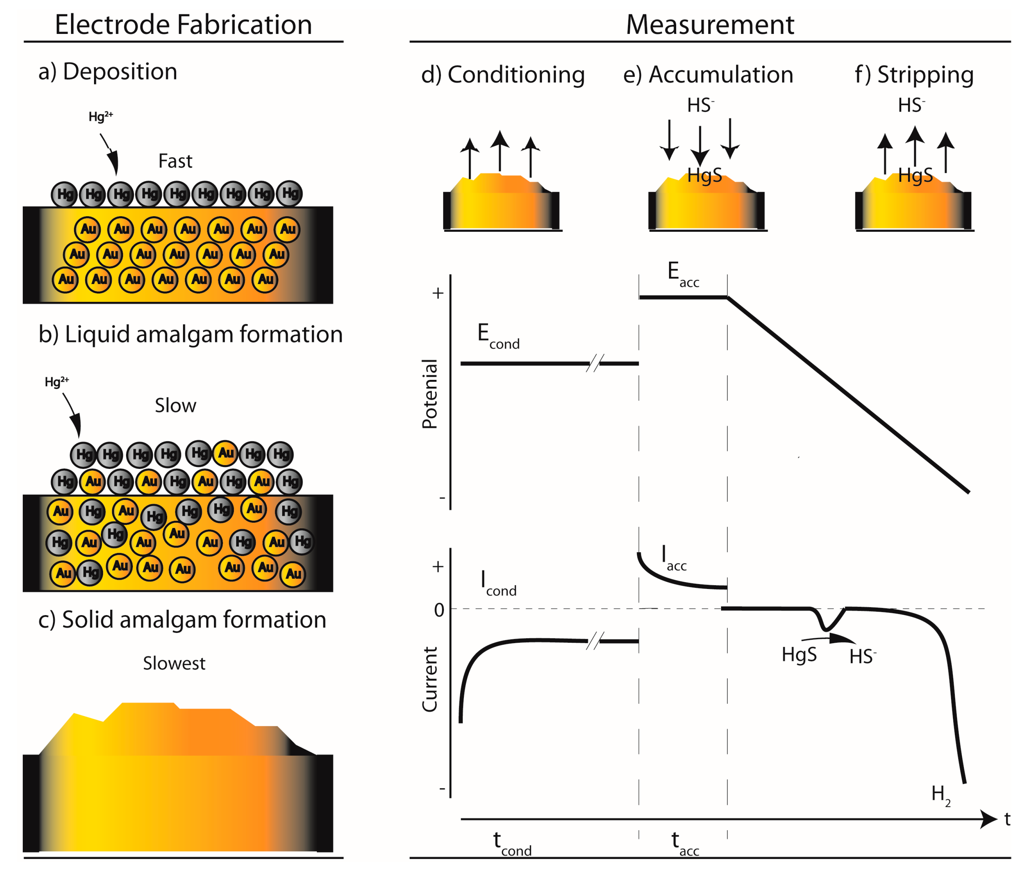 Chemosensors 08 00049 g001