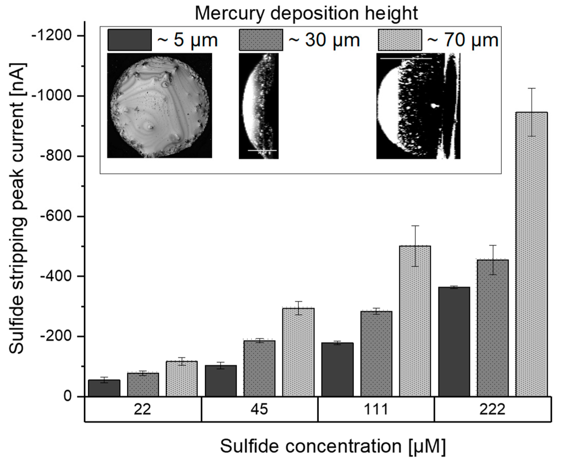 Chemosensors 08 00049 g010