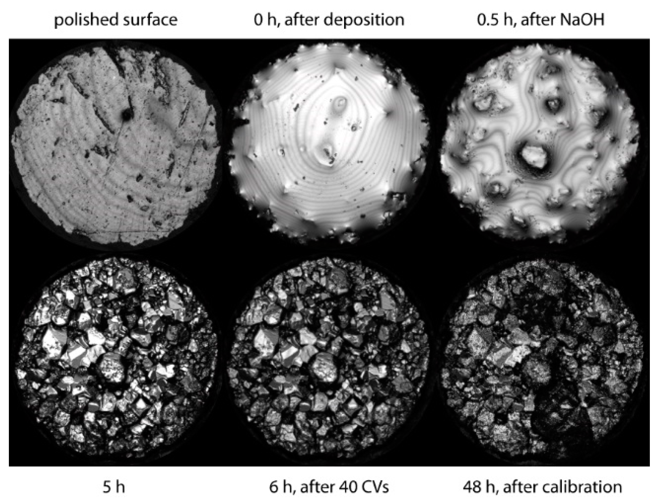 Chemosensors 08 00049 g011