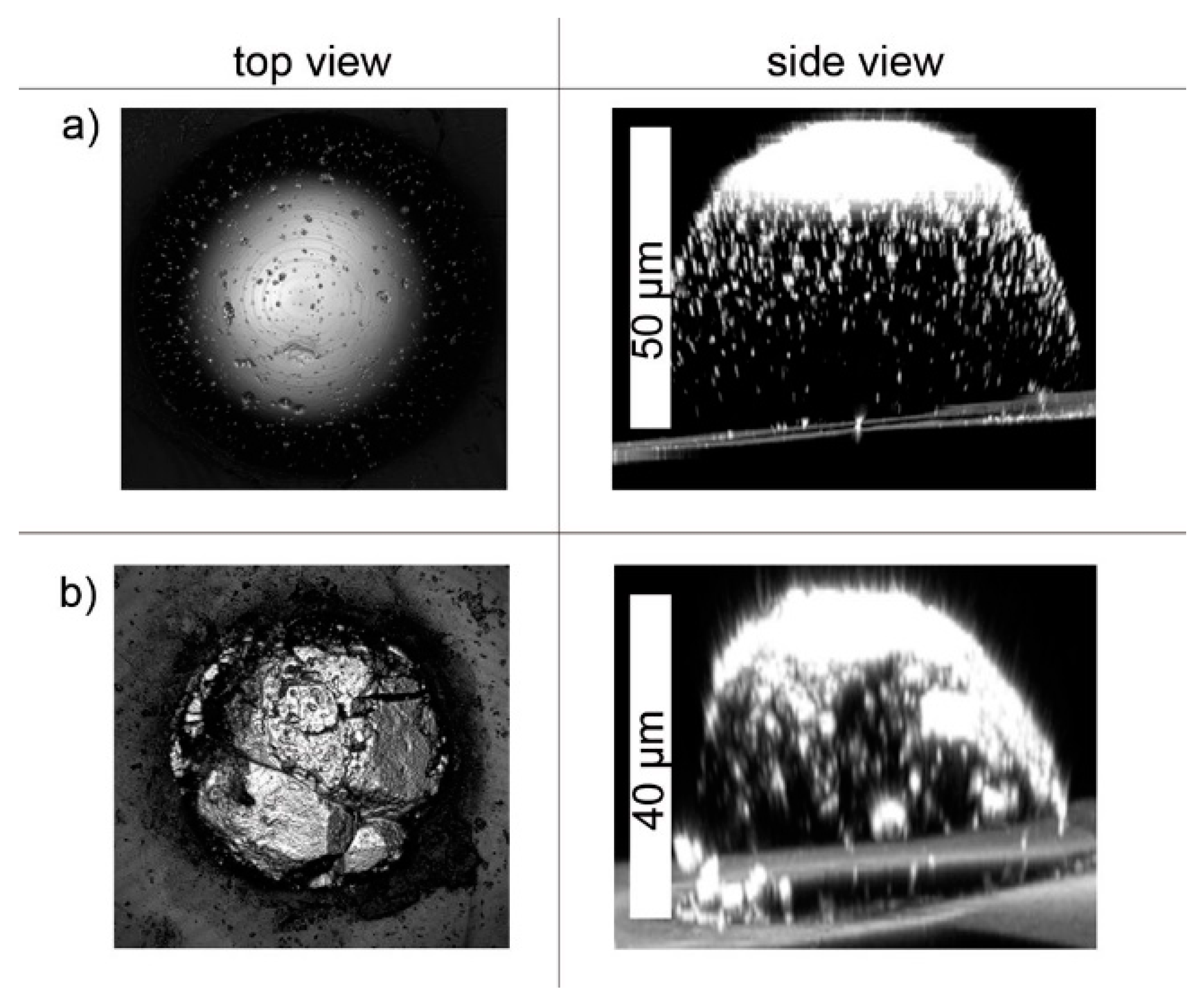 Chemosensors 08 00049 g012
