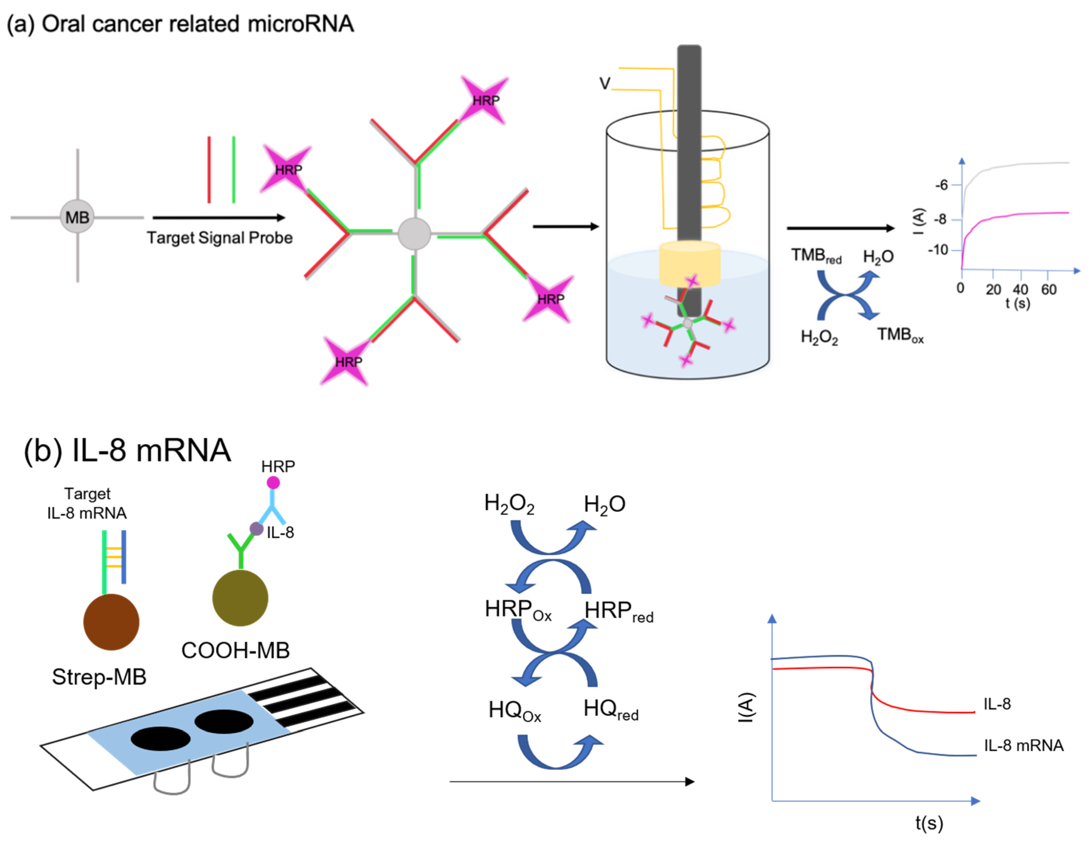 Chemosensors 08 00054 g003