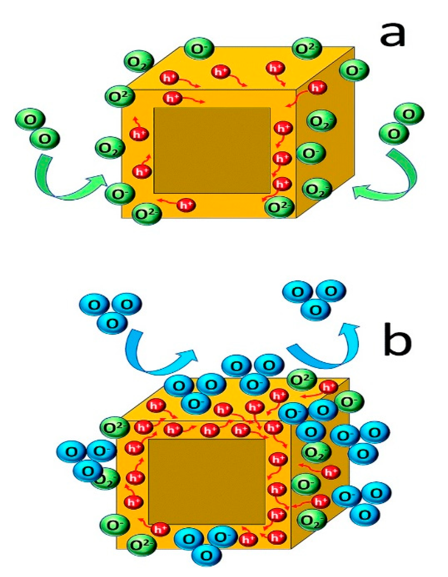 Chemosensors 08 00055 g011