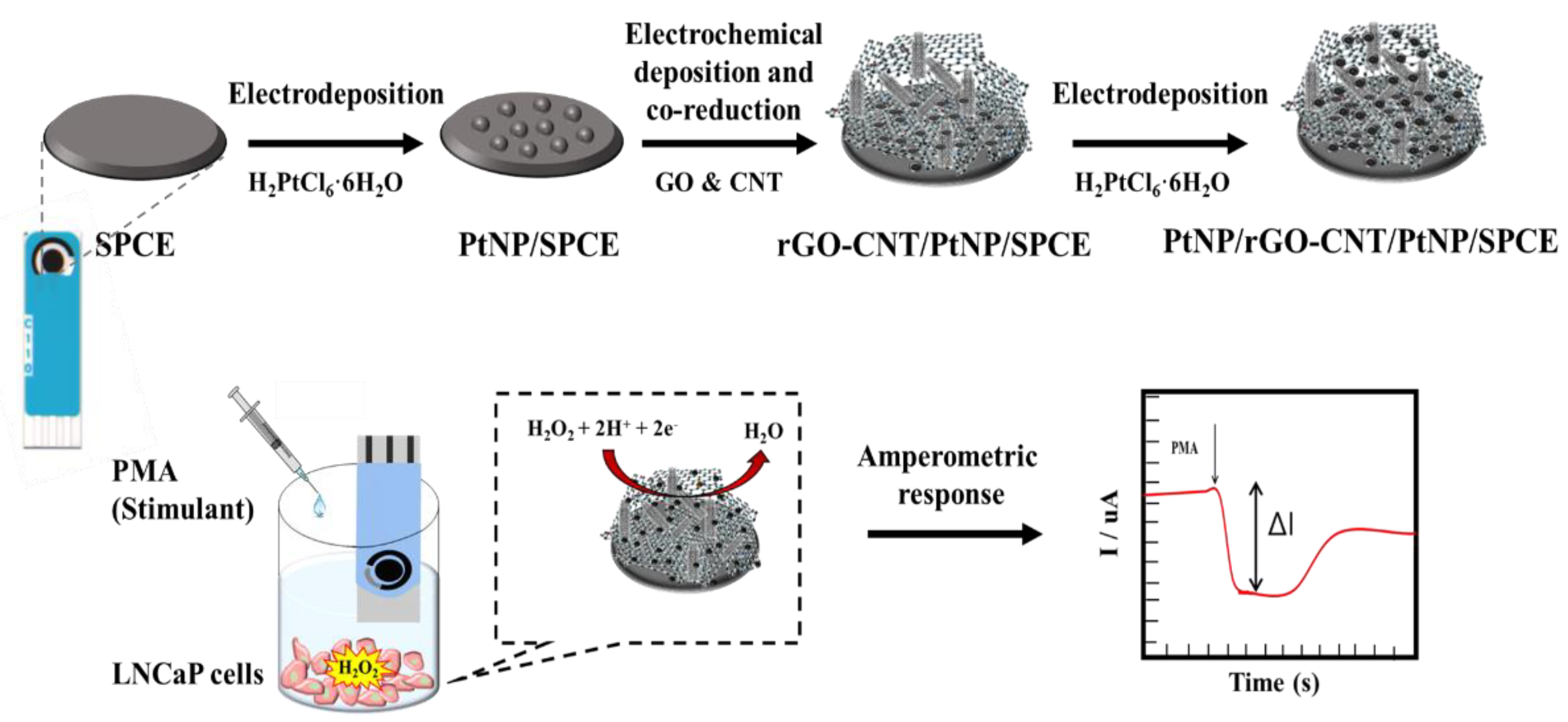 Chemosensors 08 00063 g001