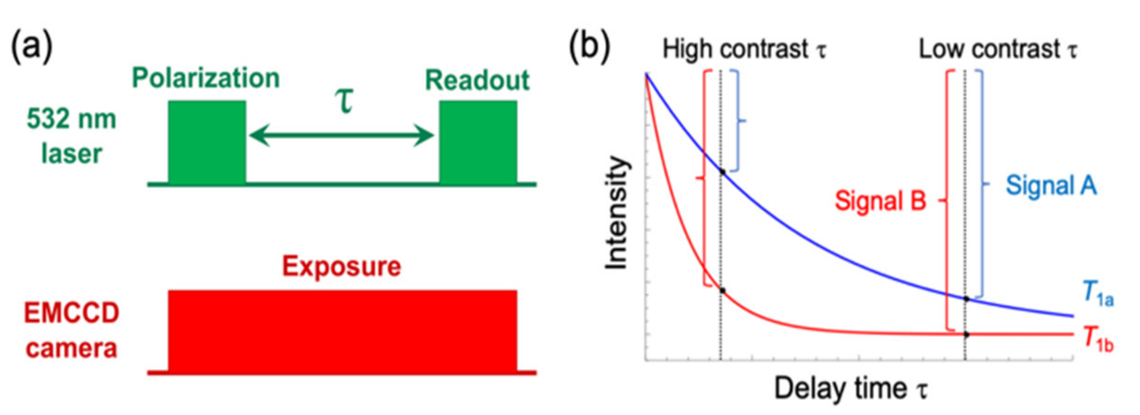 Chemosensors 08 00068 g001