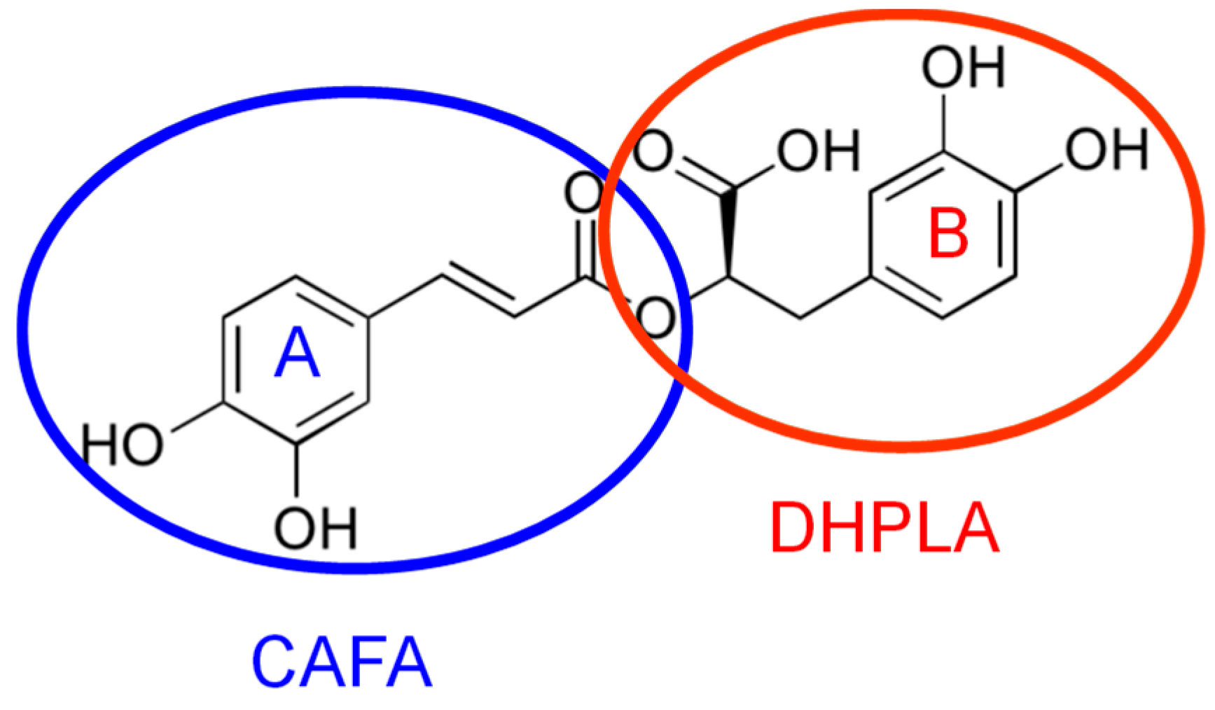 Chemosensors 08 00074 g001