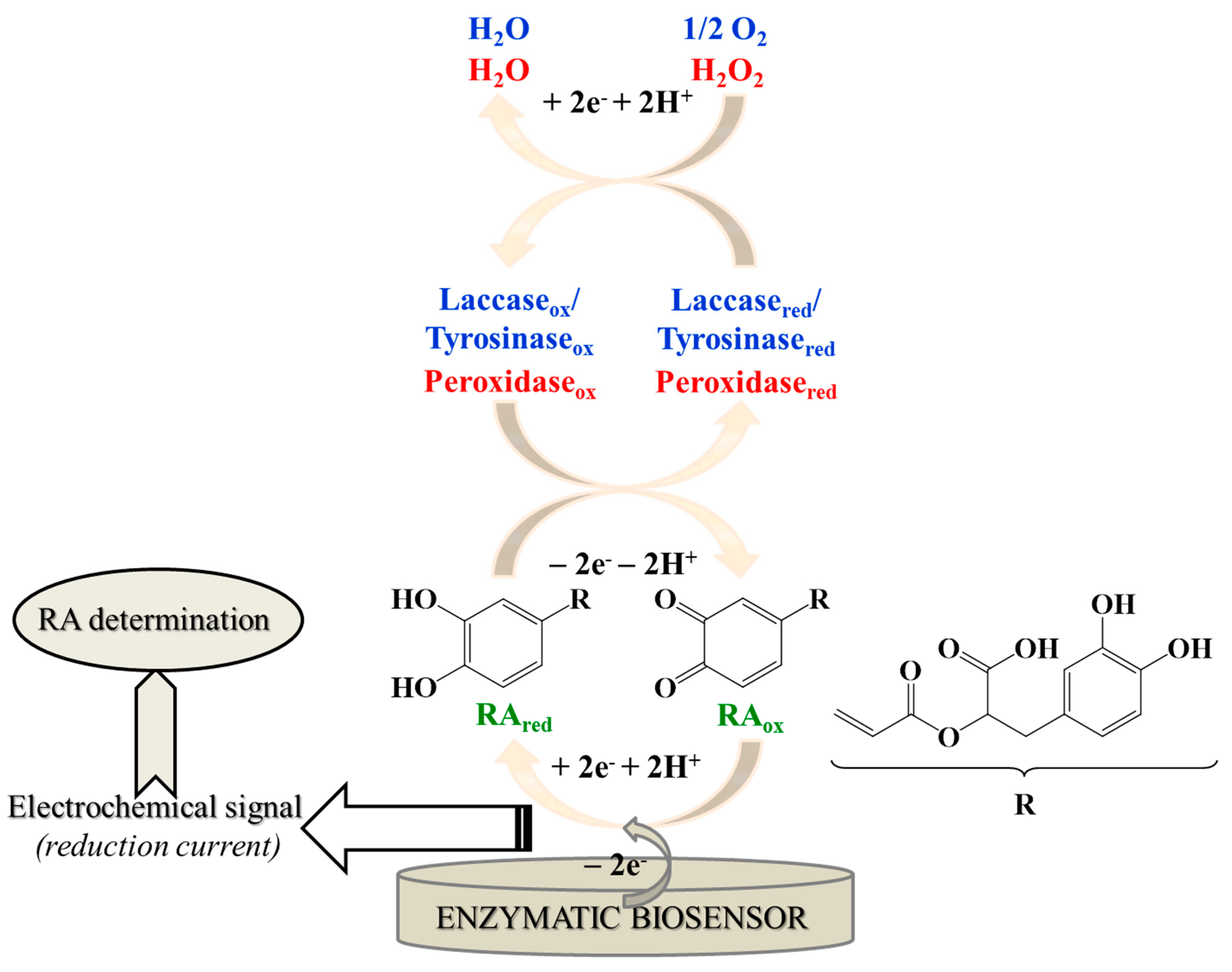 Chemosensors 08 00074 g002